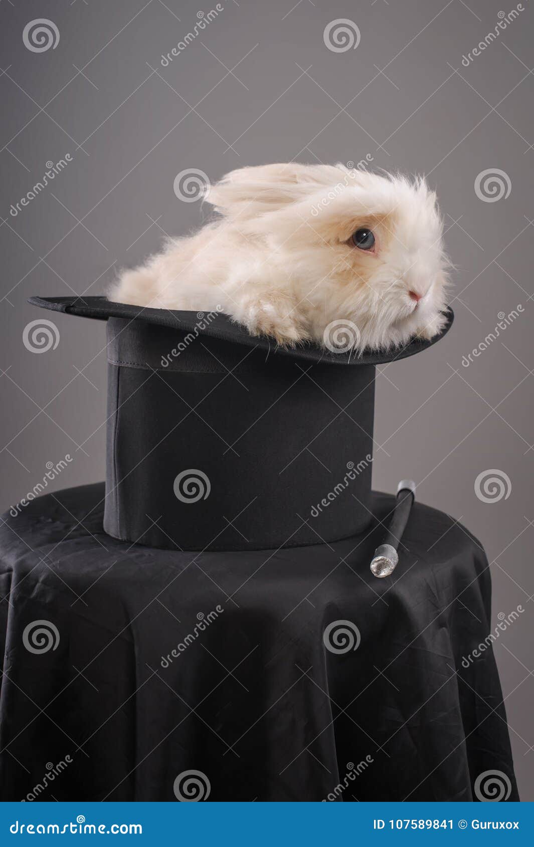 Magic Hat with Beautiful White Rabbit Stock Image - Image of rabbits