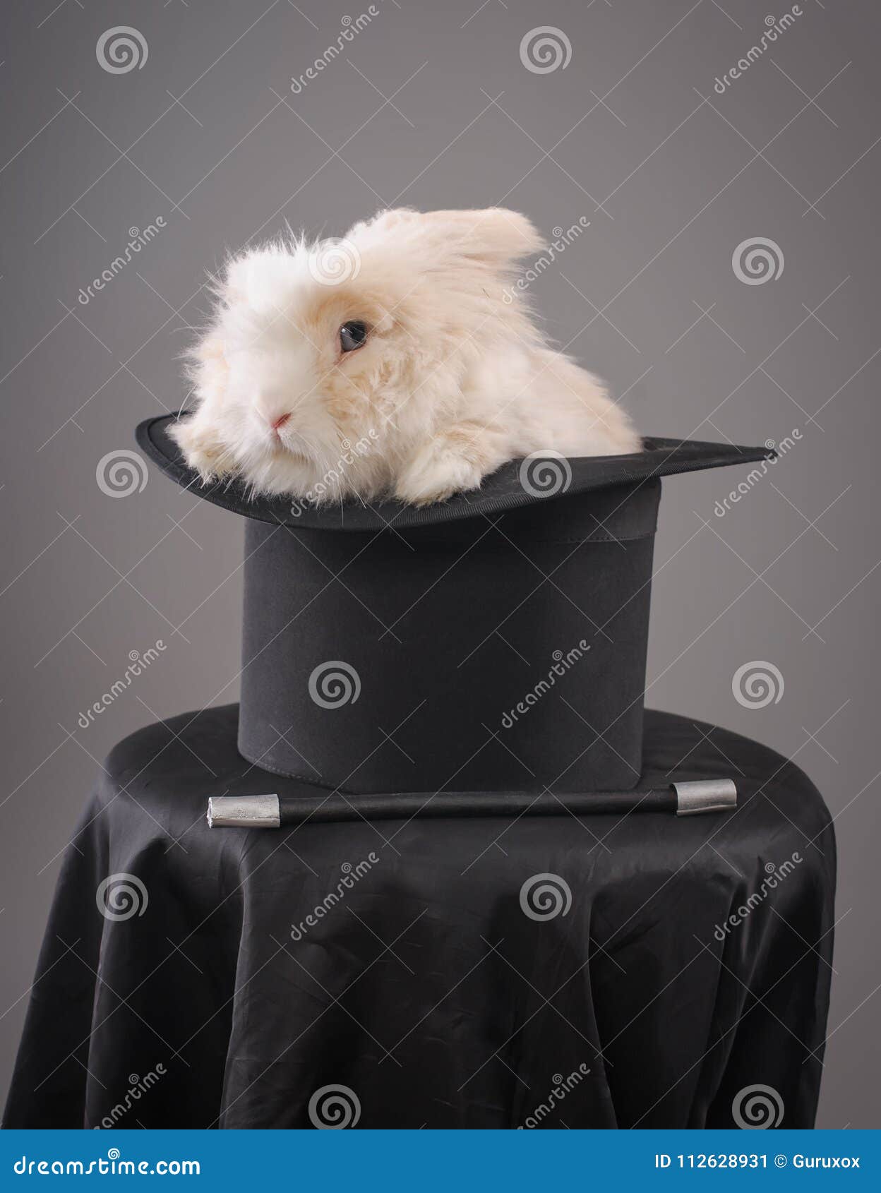 Magic Hat with Beautiful White Rabbit Stock Image - Image of illusion