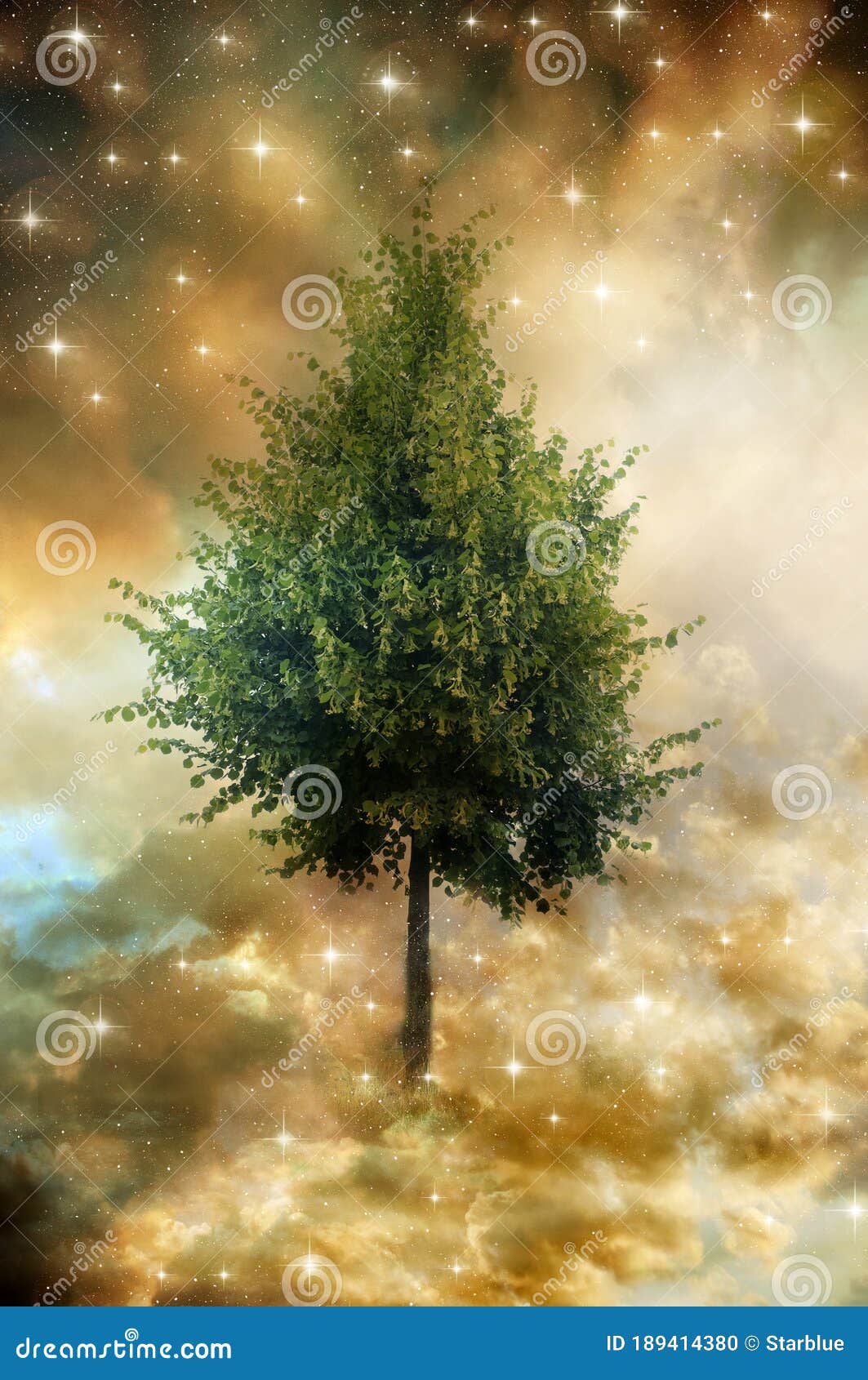 Mystical Tree Wallpapers - Top Free Mystical Tree Backgrounds