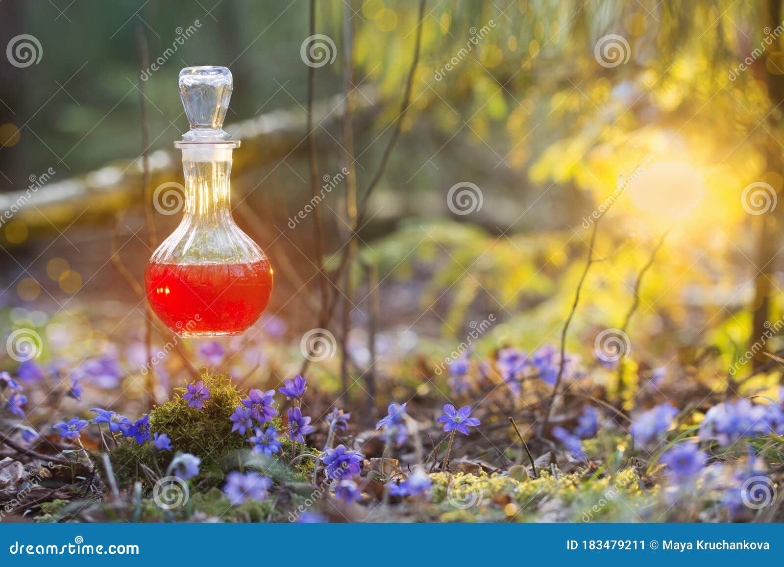 Magic Potion In Bottle In Fairy Forest Stock Image Image Magic Potion In Bottle In Fairy Forest Stock Image Image