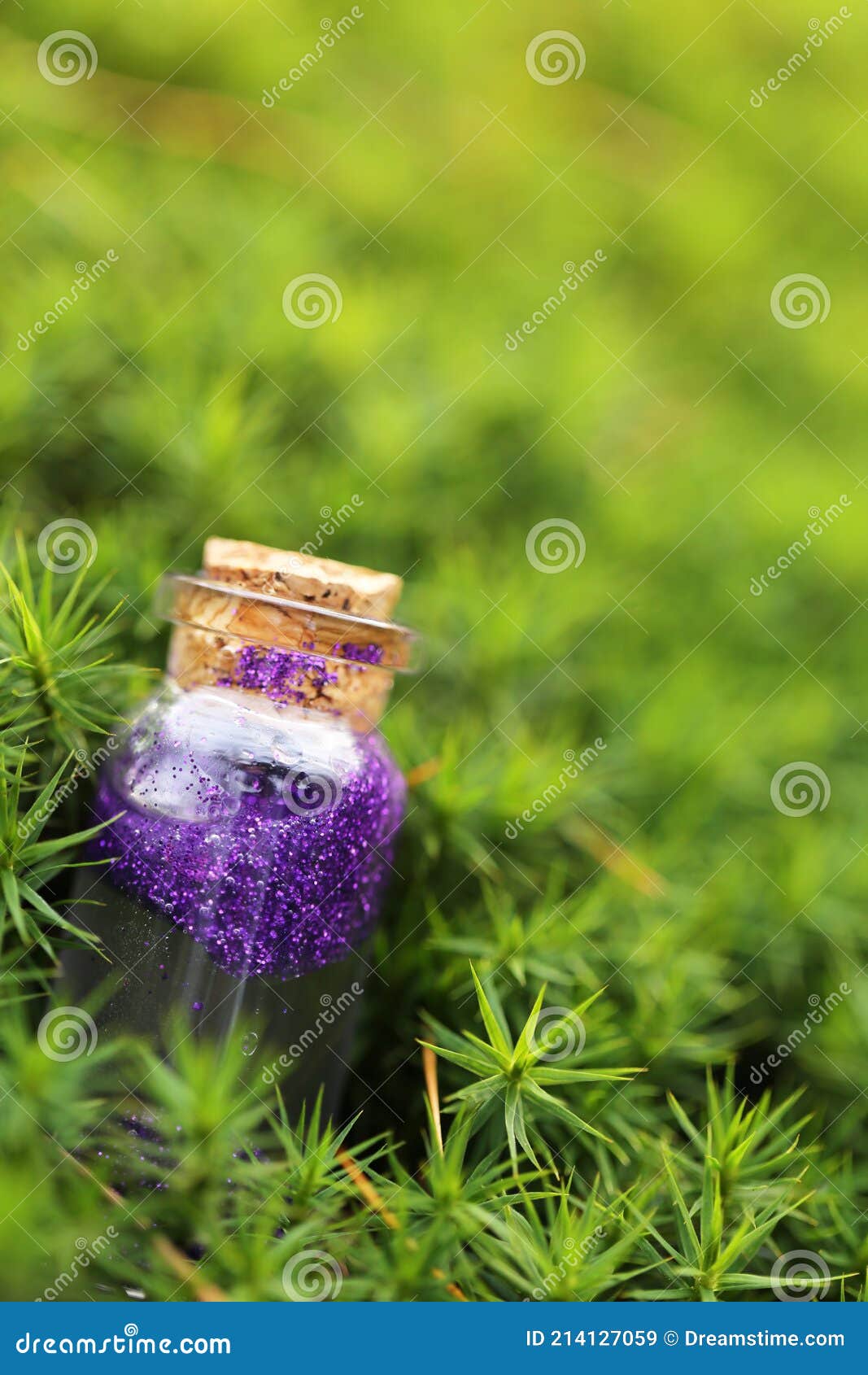 Purple Magic Potion Bottle | Postcard