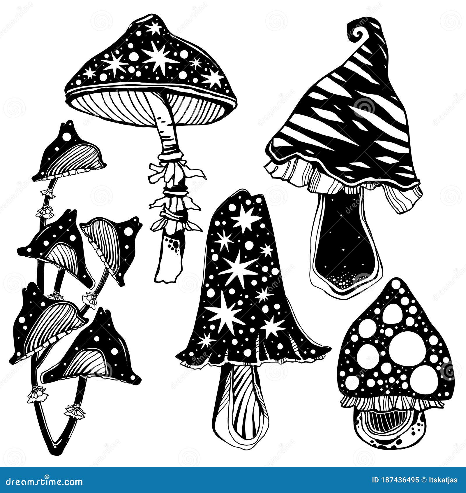 witch it mushrooms witch it mushrooms
