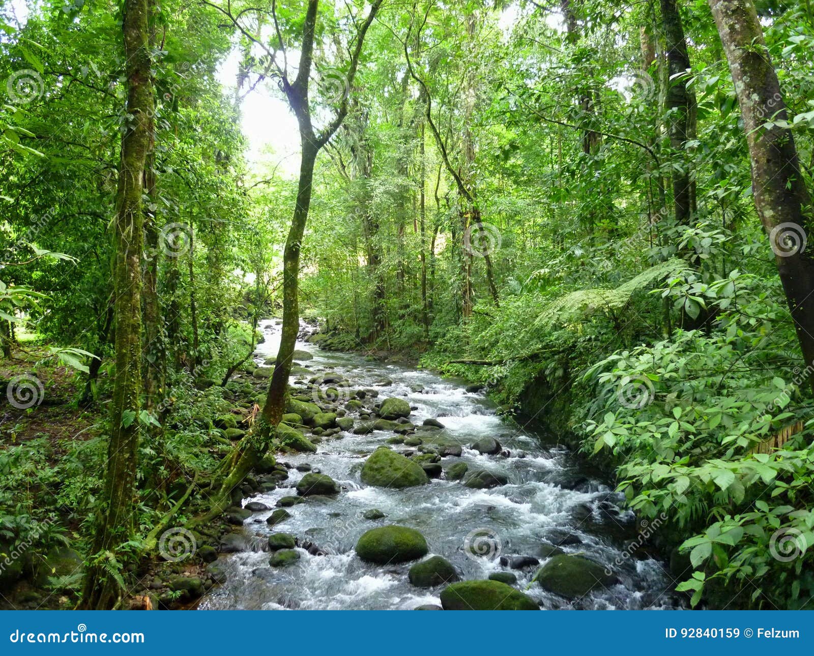 magic river in guapiles, limÃÂ³n , costa rica. rainforest