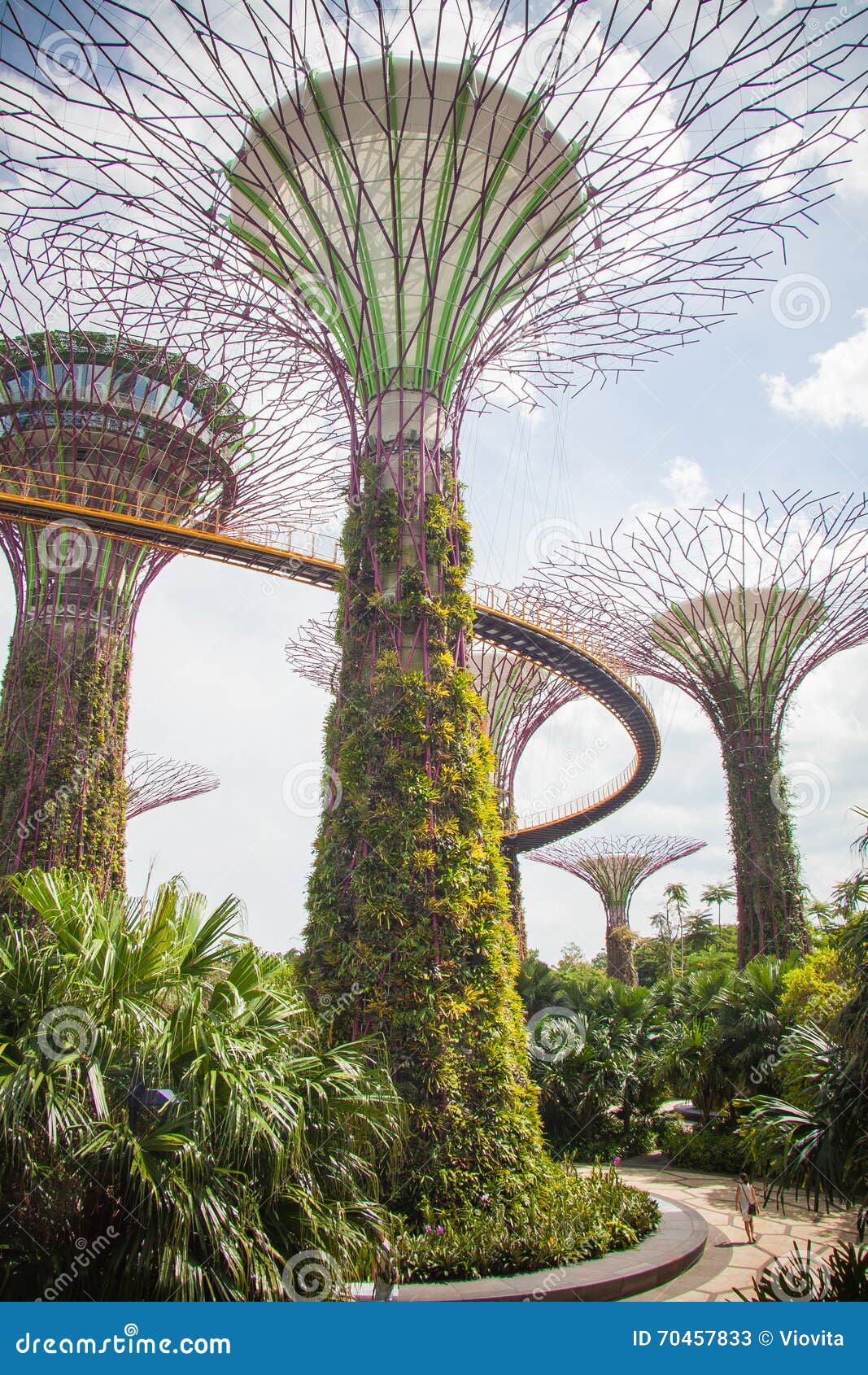 Magic trees of Singapore stock image. Image of city, park 70457833
