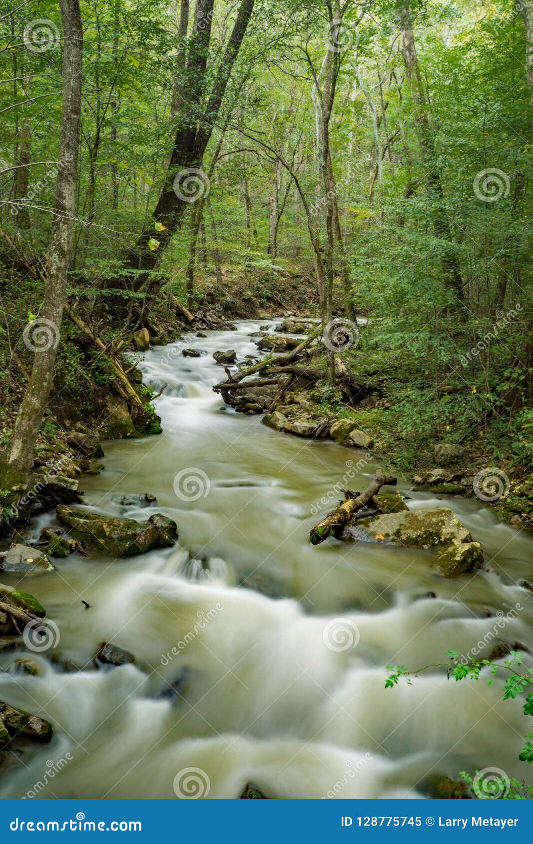 magic virew at roaring run creek and forest