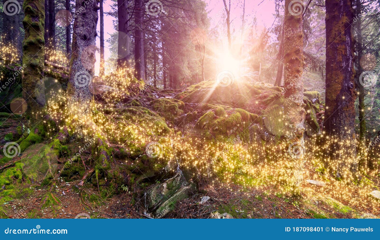 magical and enchanted forest landscape with shimmering lights.