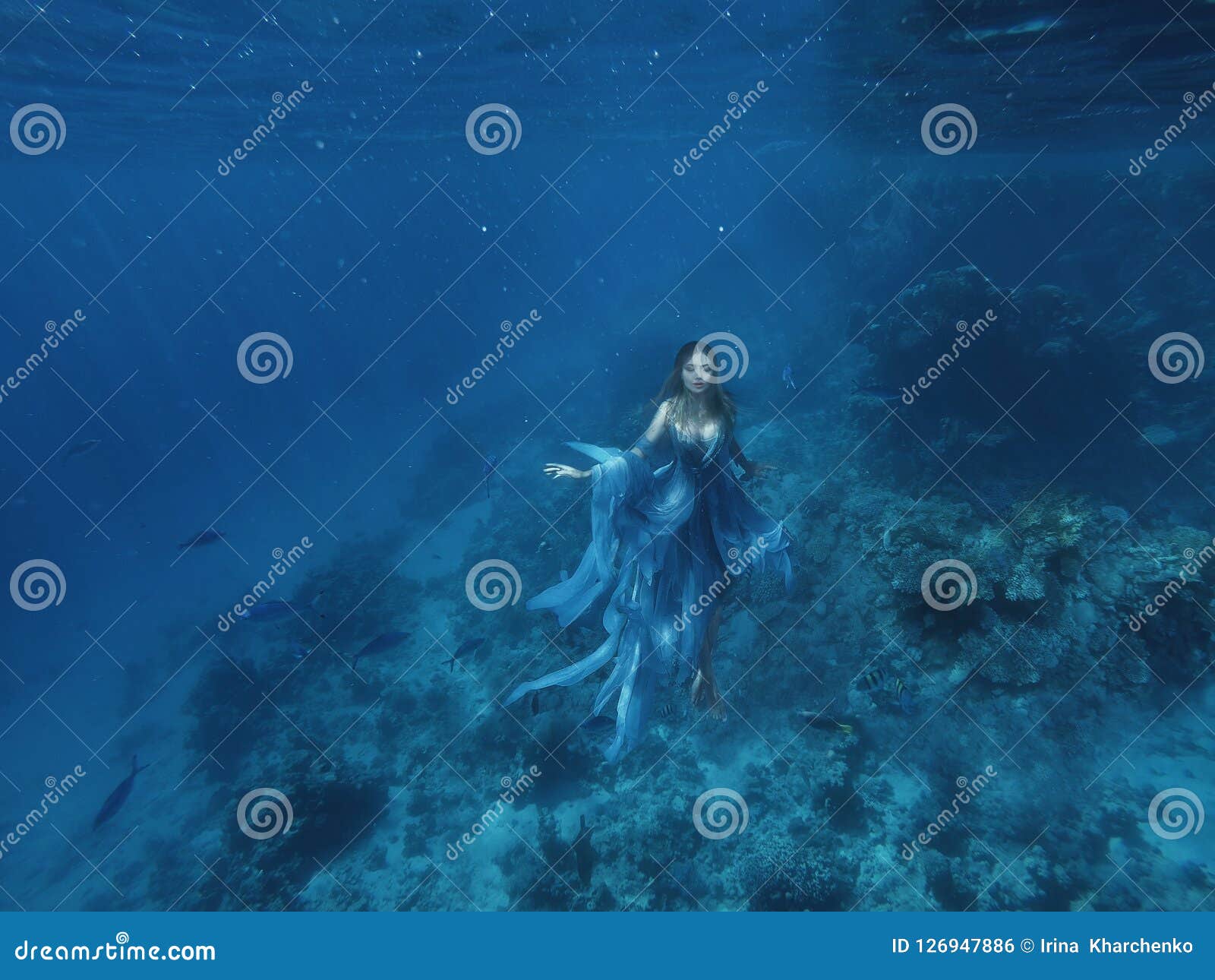A Magical Fairy Mermaid In A Blue Flying Light Dress Floats On The Ocean Floor Sea Queen And Jellyfish A Halloween Stock Photo Image Of Background Flower 126947886 - โรงแรมนางฟ าก บนางเง อก ว าวววว roblox hotel fairies mermaids