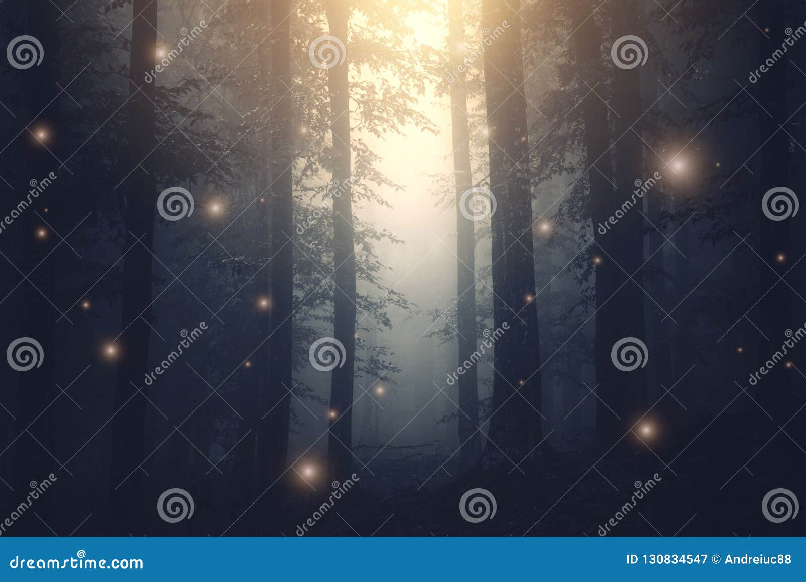 magical fantasy fairy lights in enchanted forest with fog