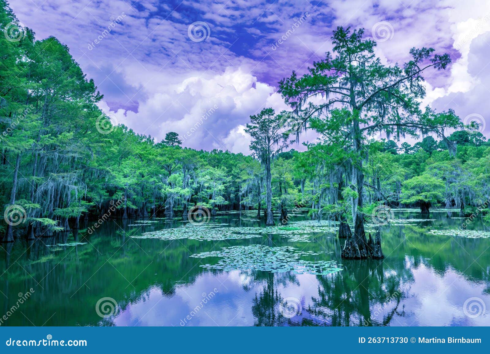 The Magical Landscape of the Caddo Lake, Texas Stock Photo Image of