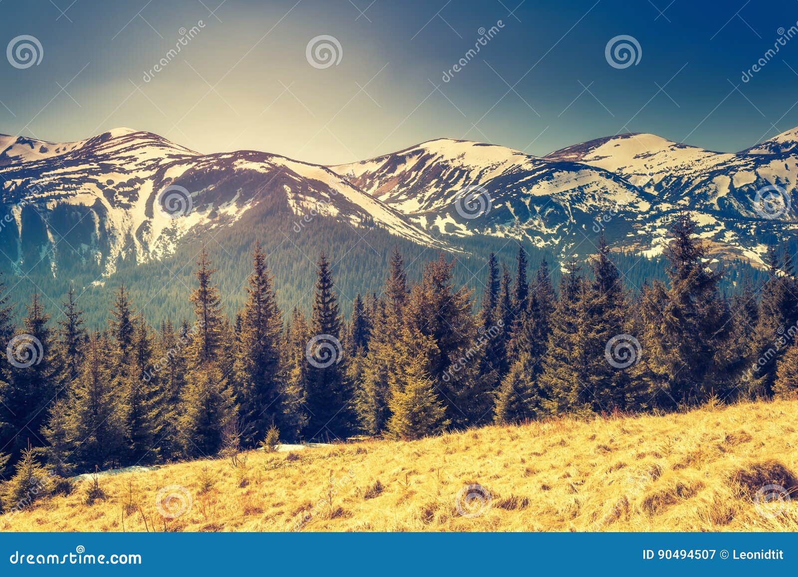 Magical Mountains Landscape Stock Image Image Of Plant Light 90494507