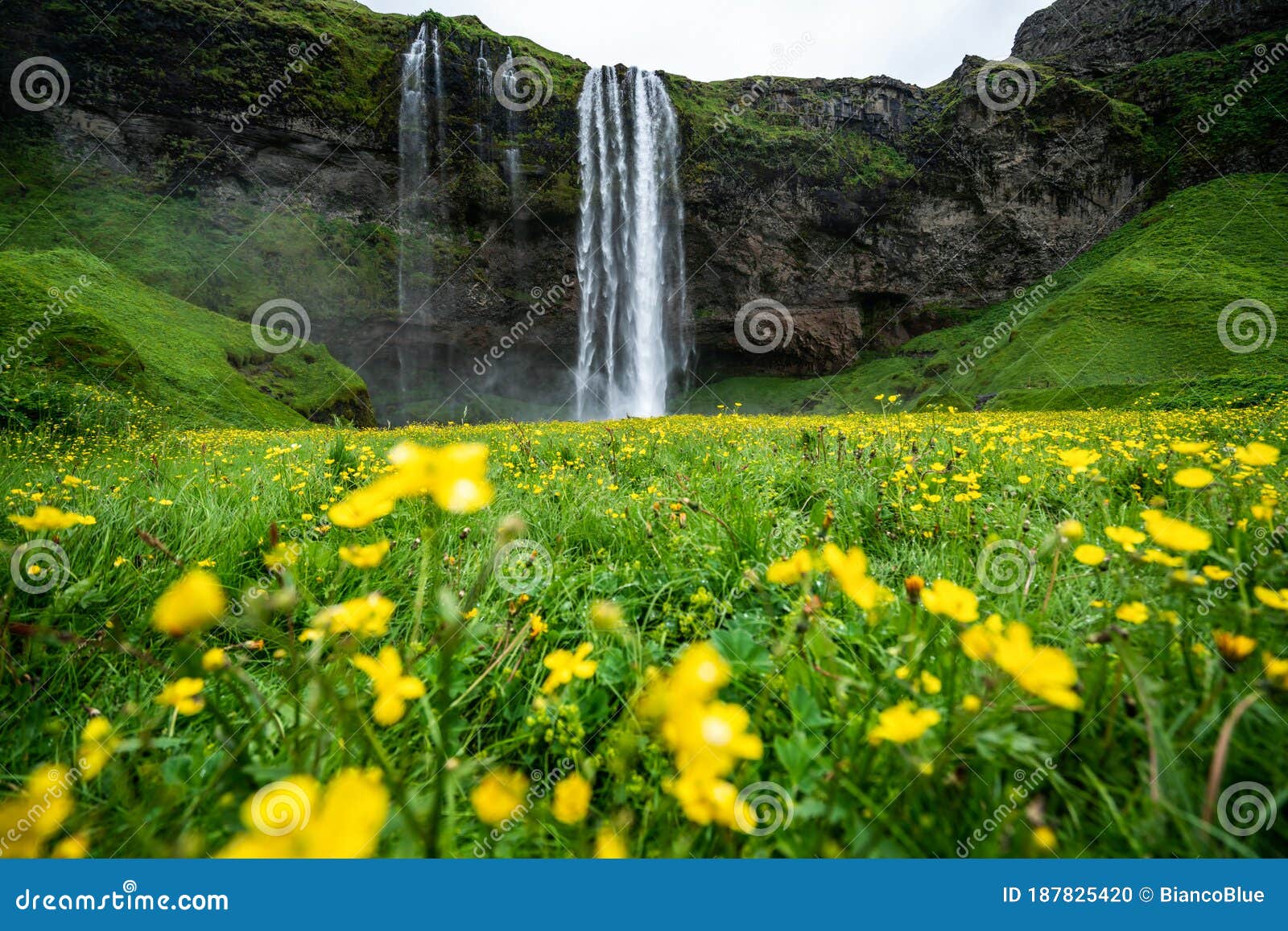 Magical Seljalandsfoss Waterfall In Iceland Stock Photo Image Of