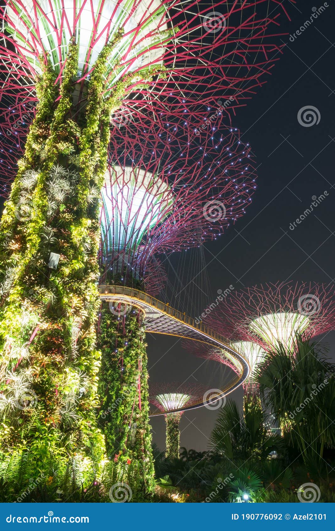 the magical supertrees grove at gardens by the bay at night time