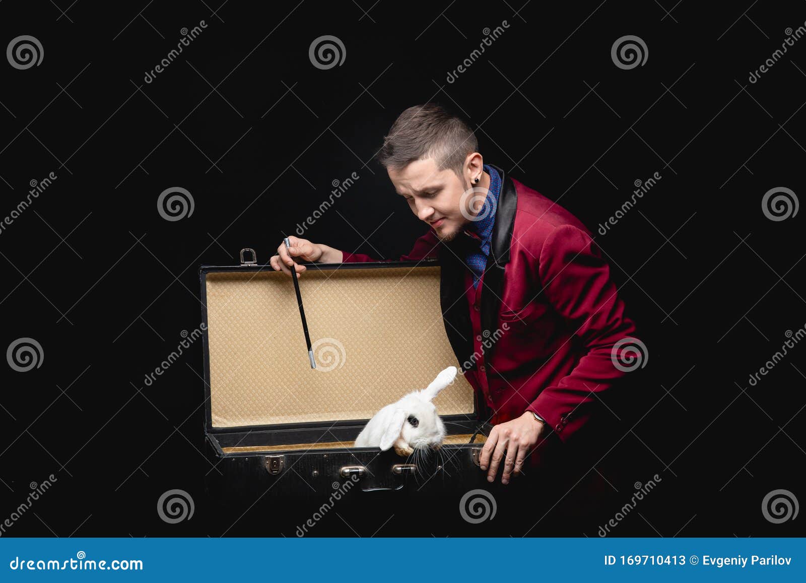 magician shows trick with disappearance white rabbit in suitcase magic wand, black background