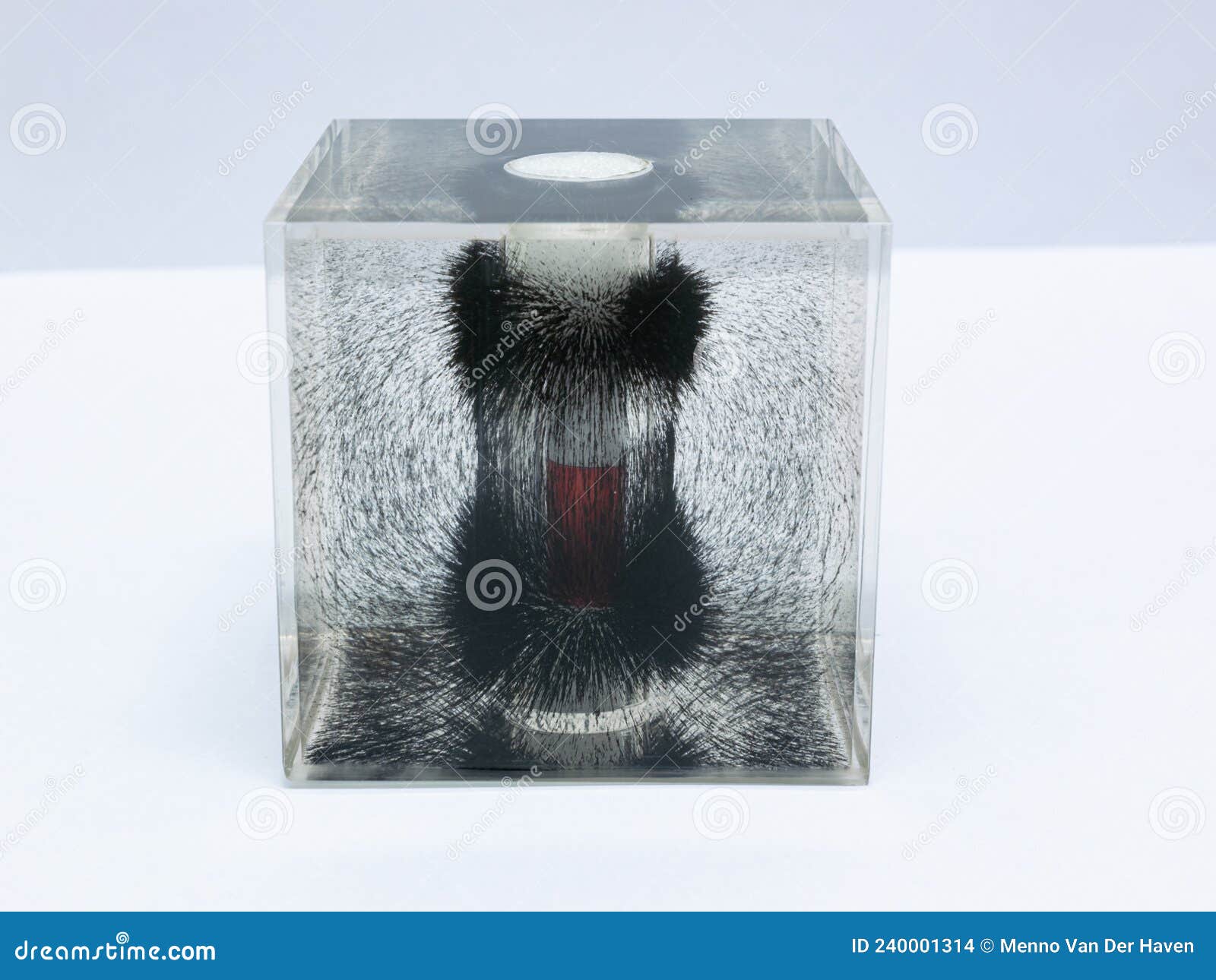 Iron Dust Showing The Field Near A Bar On White