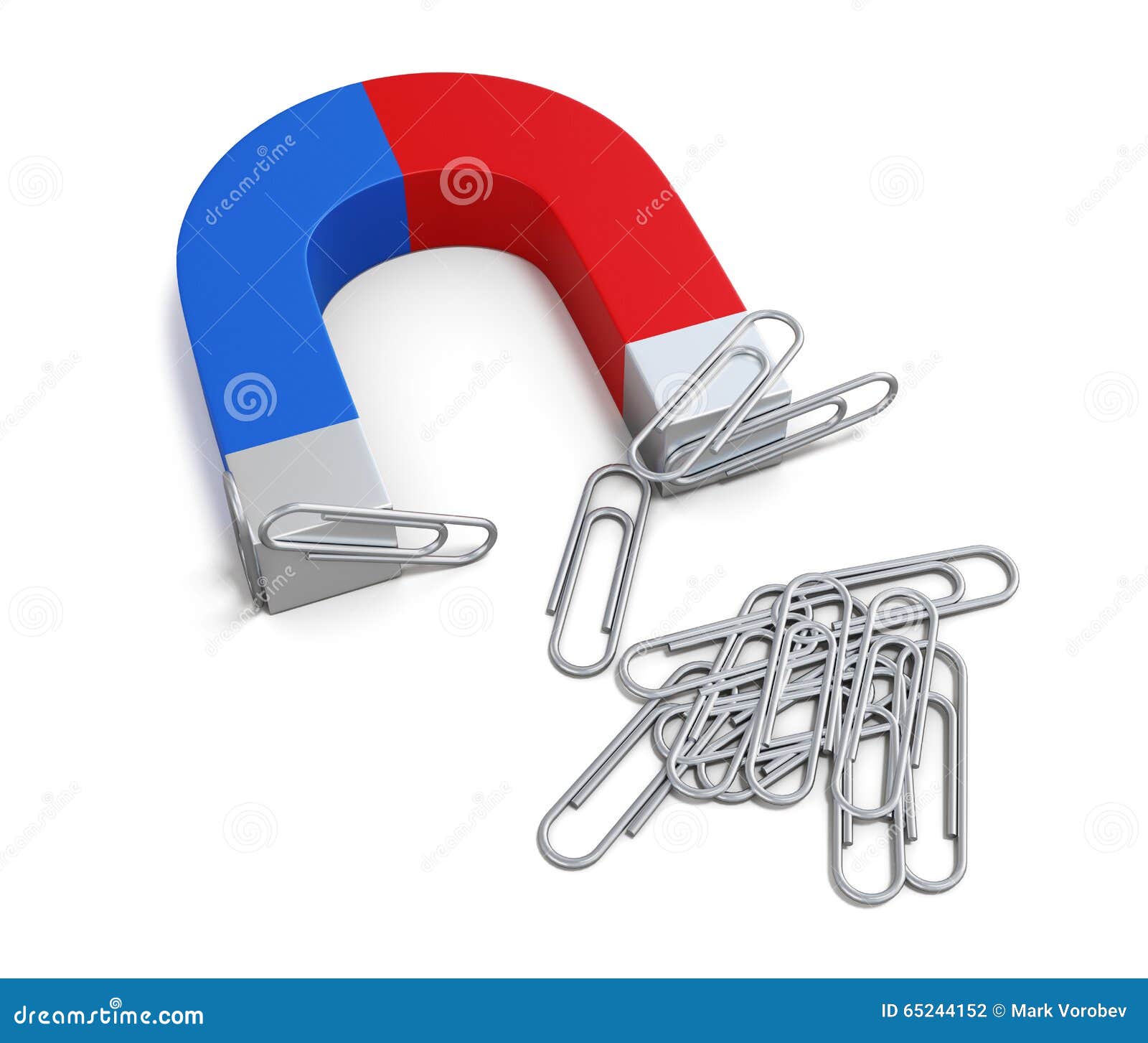 Magnet with Paper Clips - Stock Image - C039/0864 - Science Photo