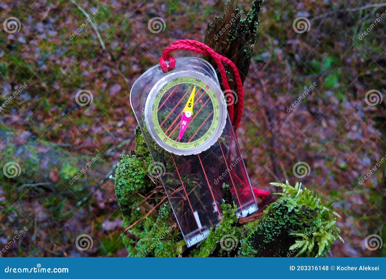 The Compass Lies in the Forest on an Old Piece of Wood Stock