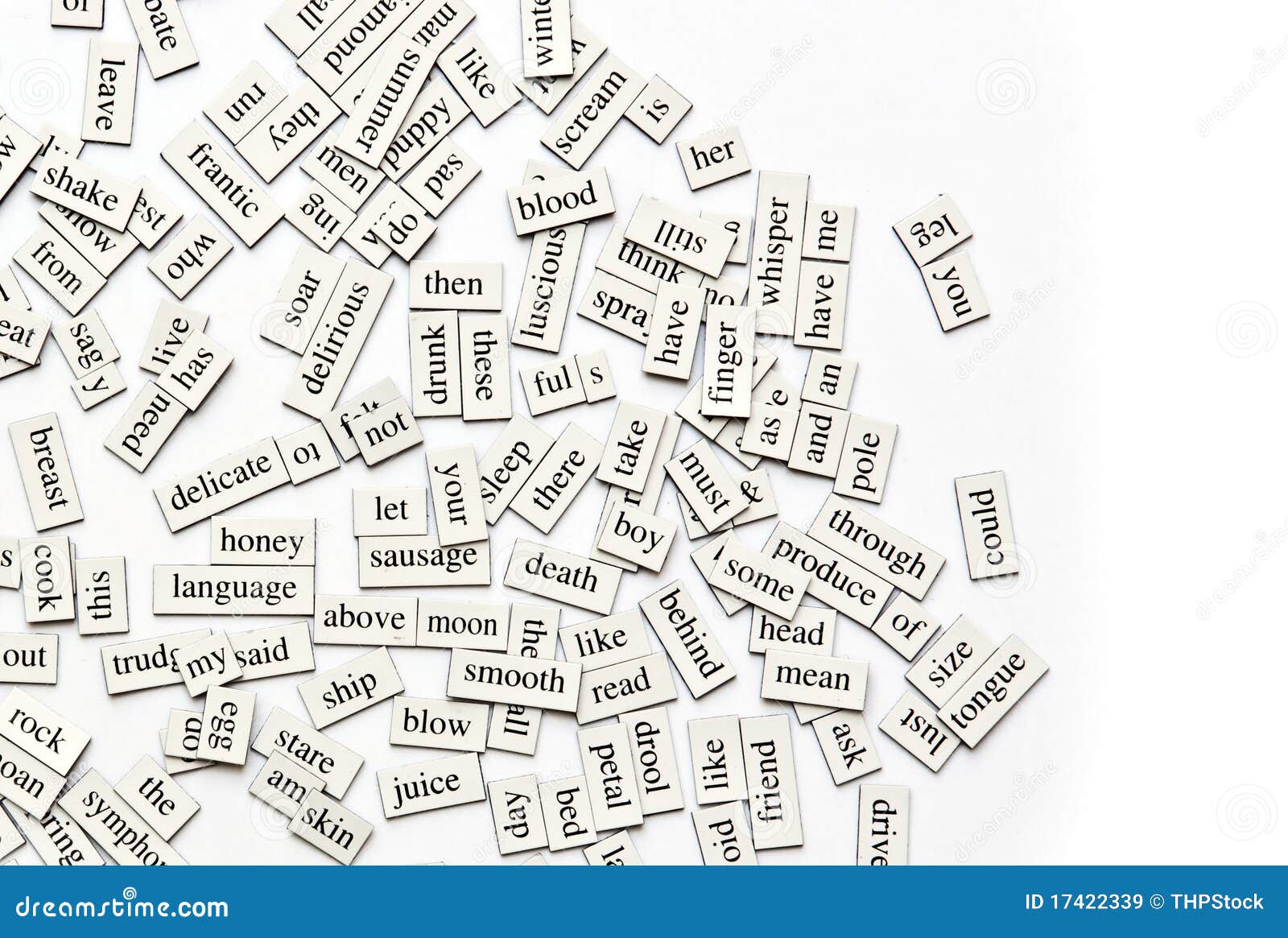 magnetic poetry words english grammar
