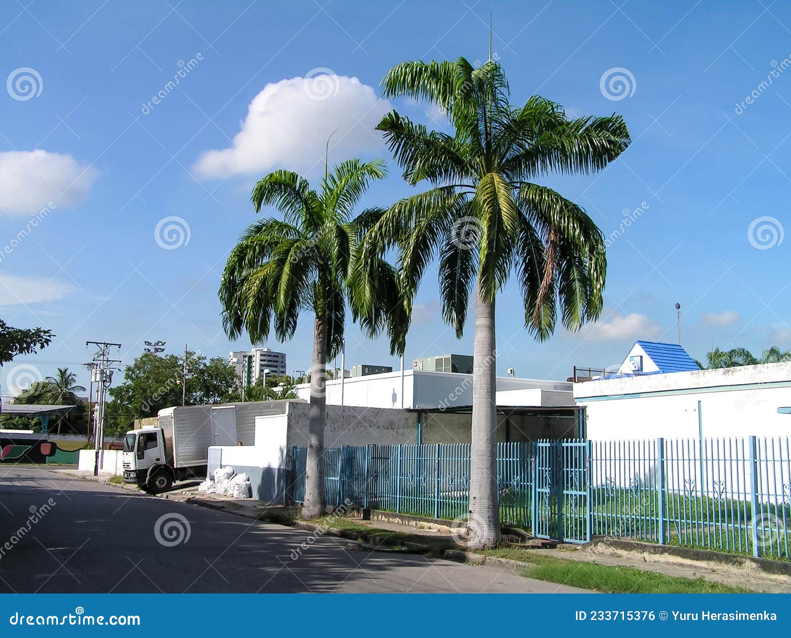 In maracay hi-res stock photography and images - Page 3 - Alamy