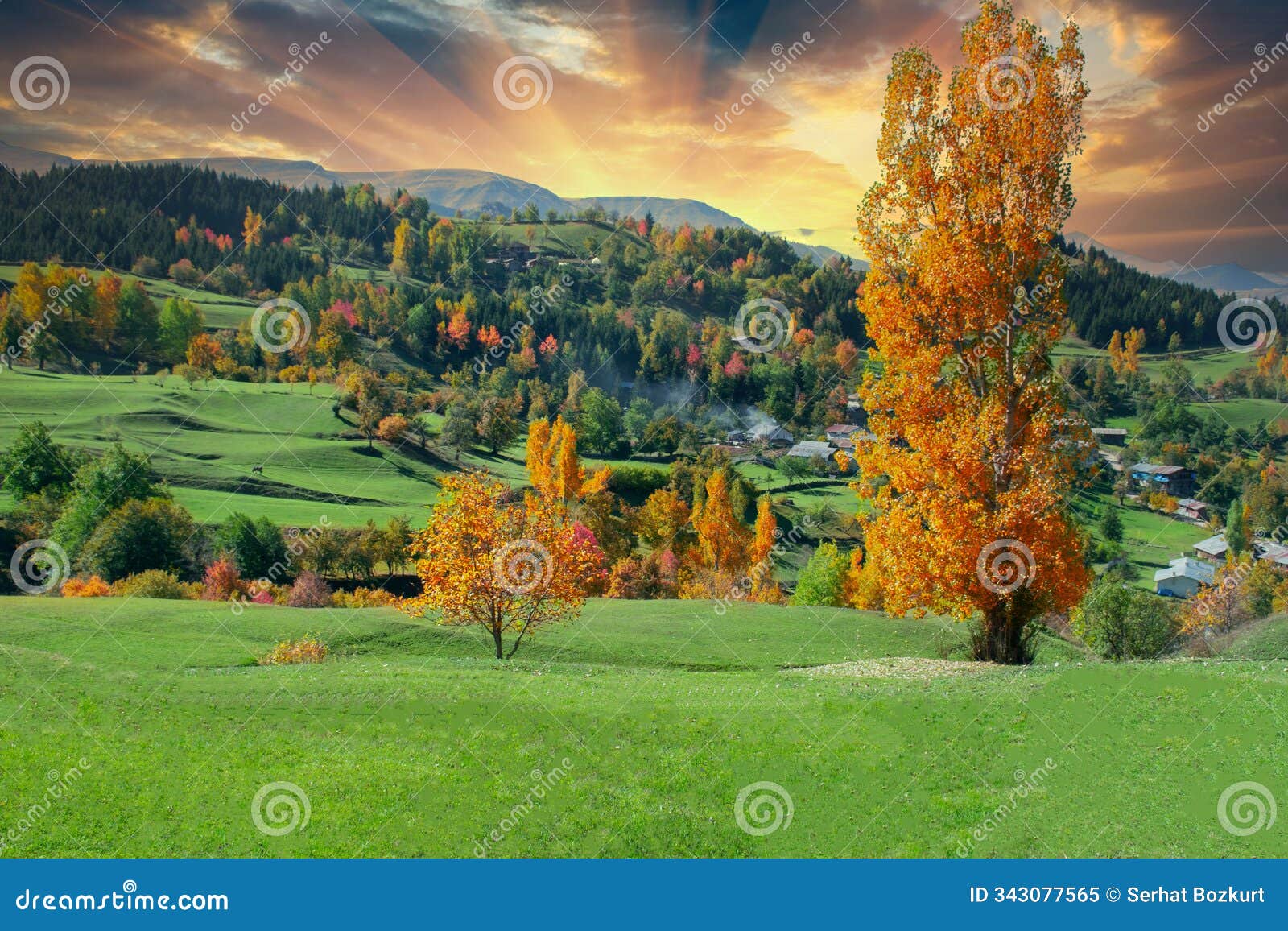 magnificent autumn colors in the savsat village photo, savsat artvin, turkiye