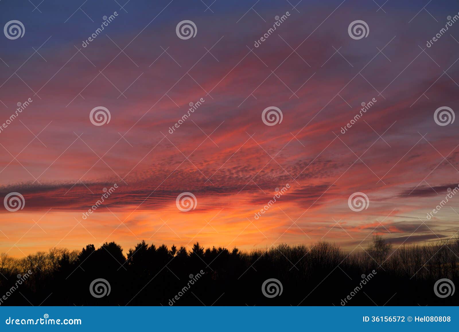 magnificent evening sky with colorful orange and red clouds over silhouette of a forest in backlight.