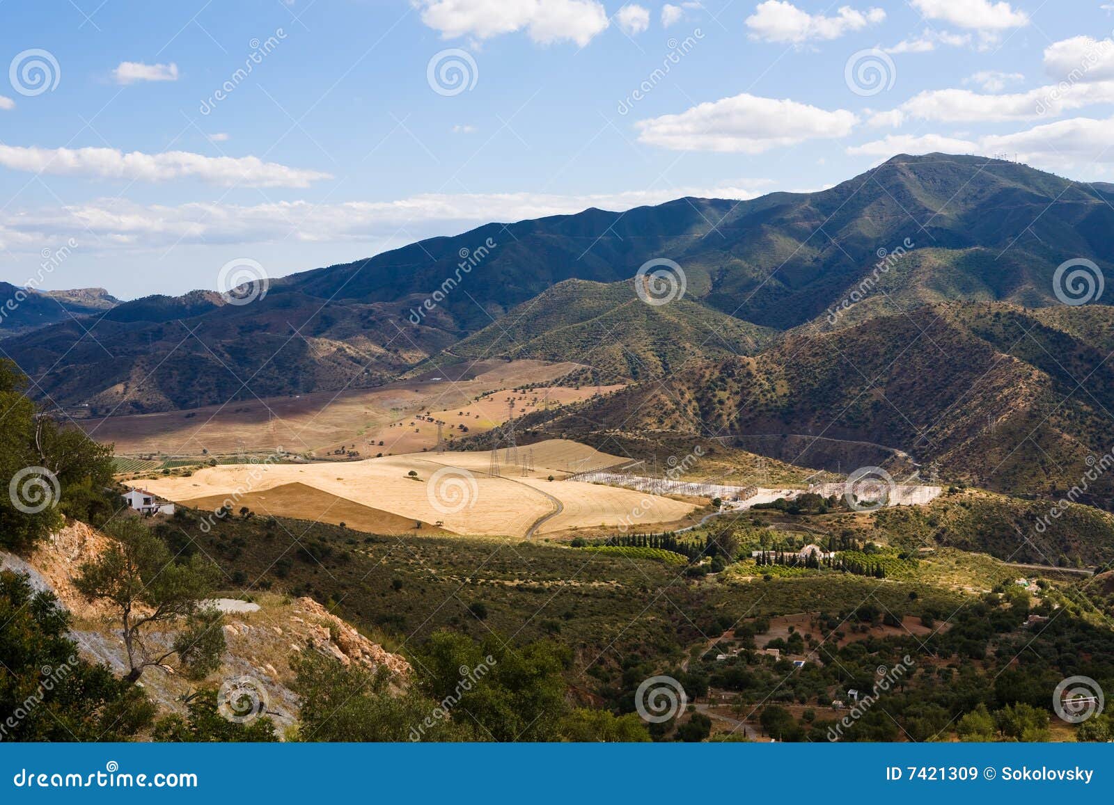 magnificent panorama of surrounding olive groves