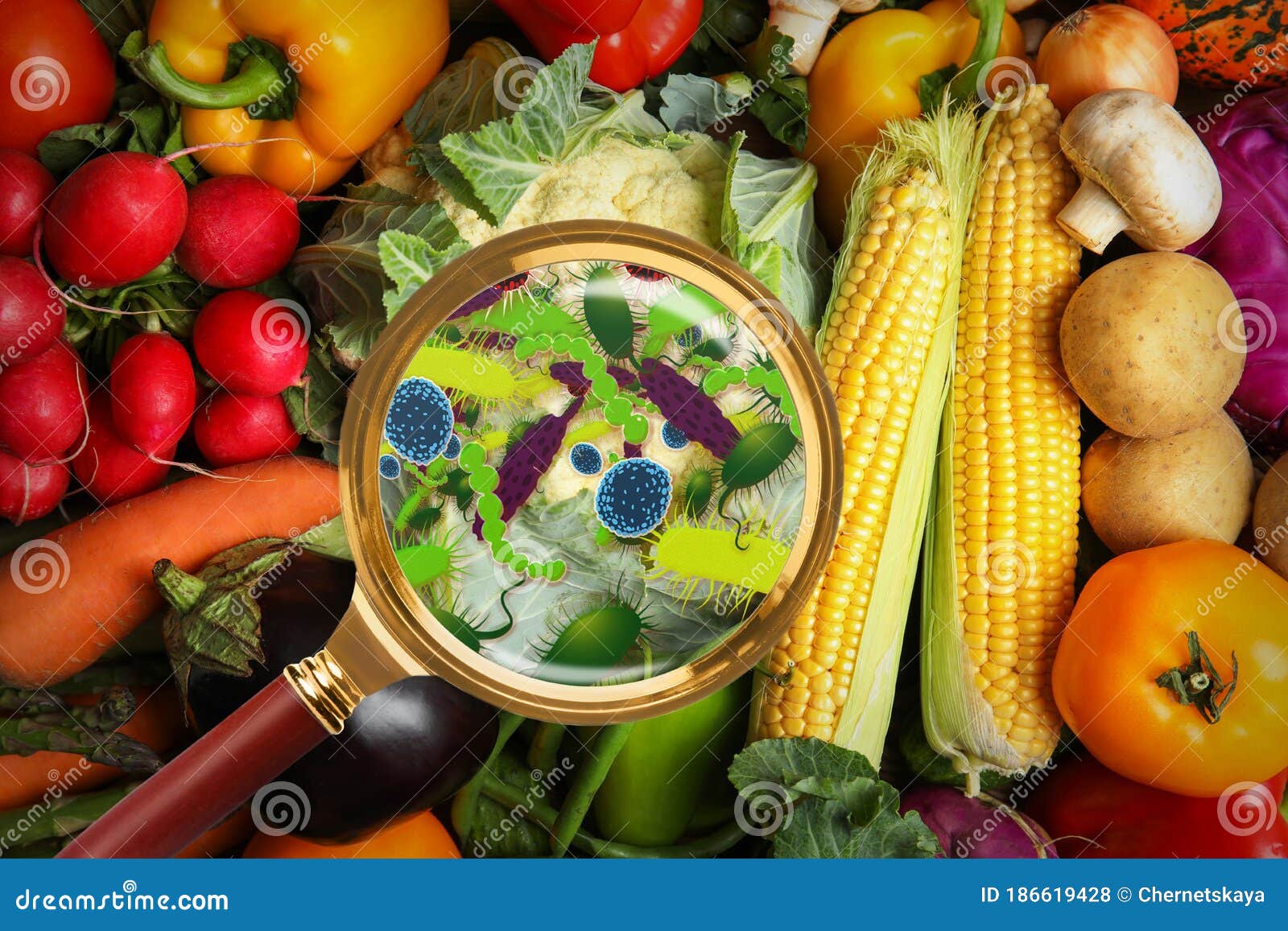 Microbes In Food Biology Diagrams