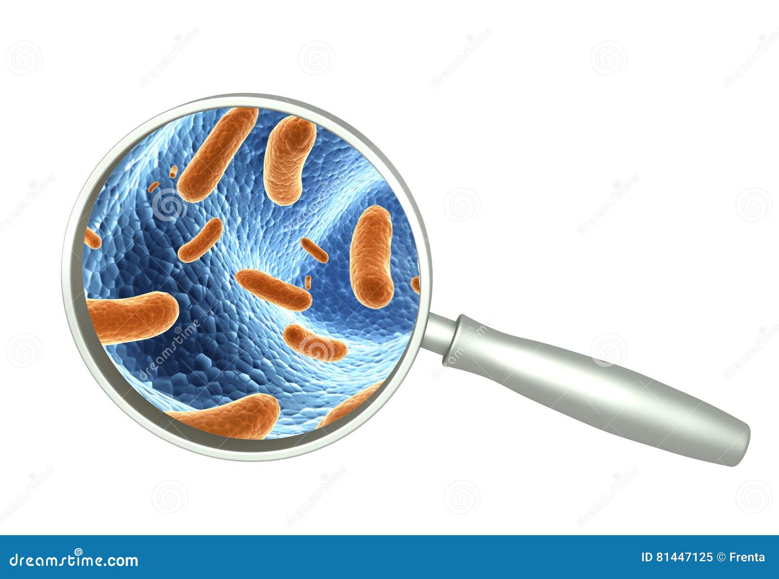 Magnifying Glass and Pathogen Bacteria Stock Illustration