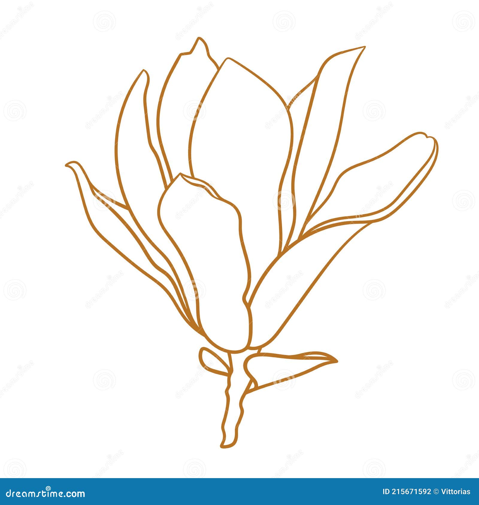 Magnolia Flower, Pencil Graphic Artwork Stock Illustration - Illustration  of drawing, draw: 140204864