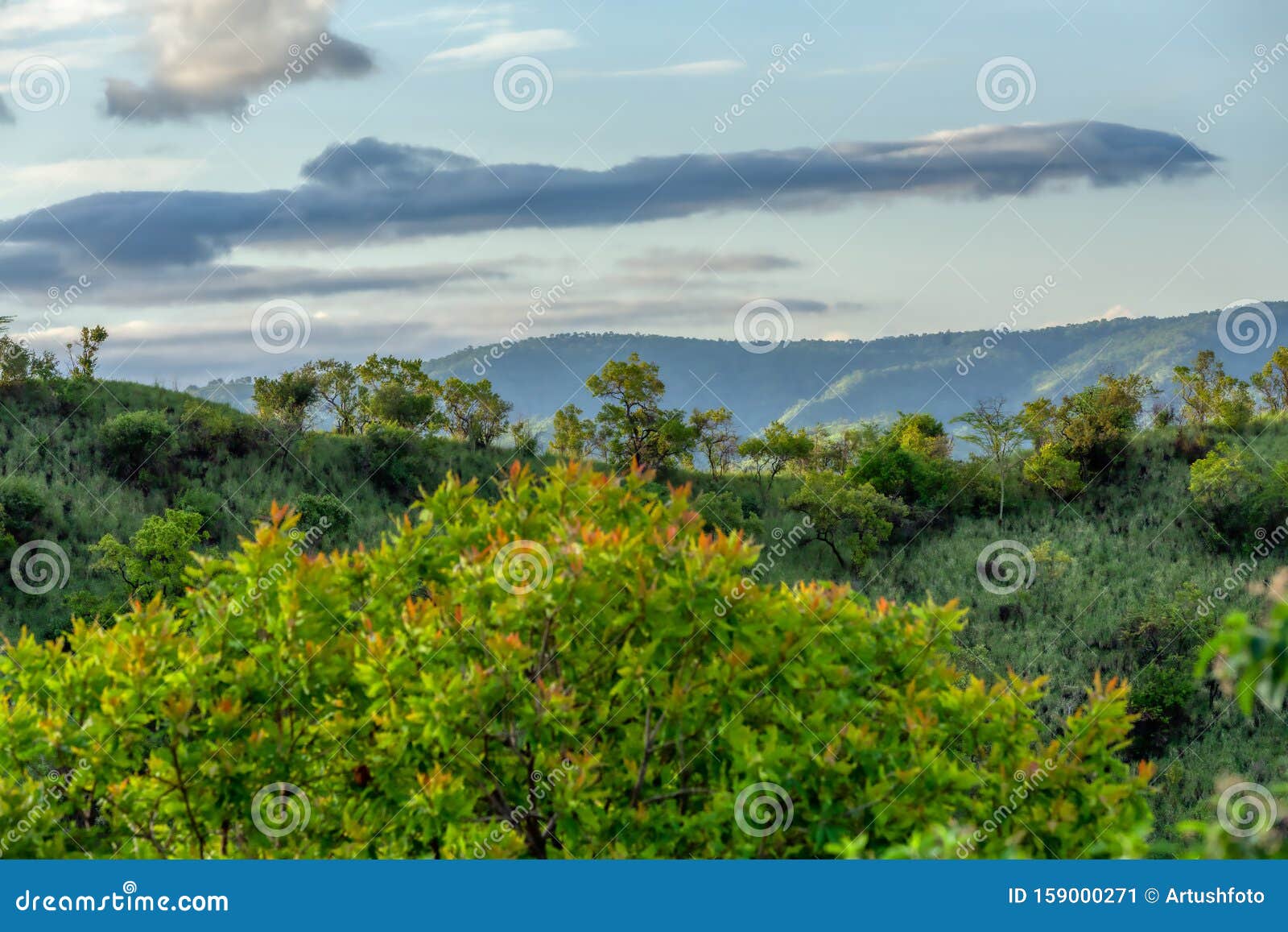 mago national park, omo valley, etiopia