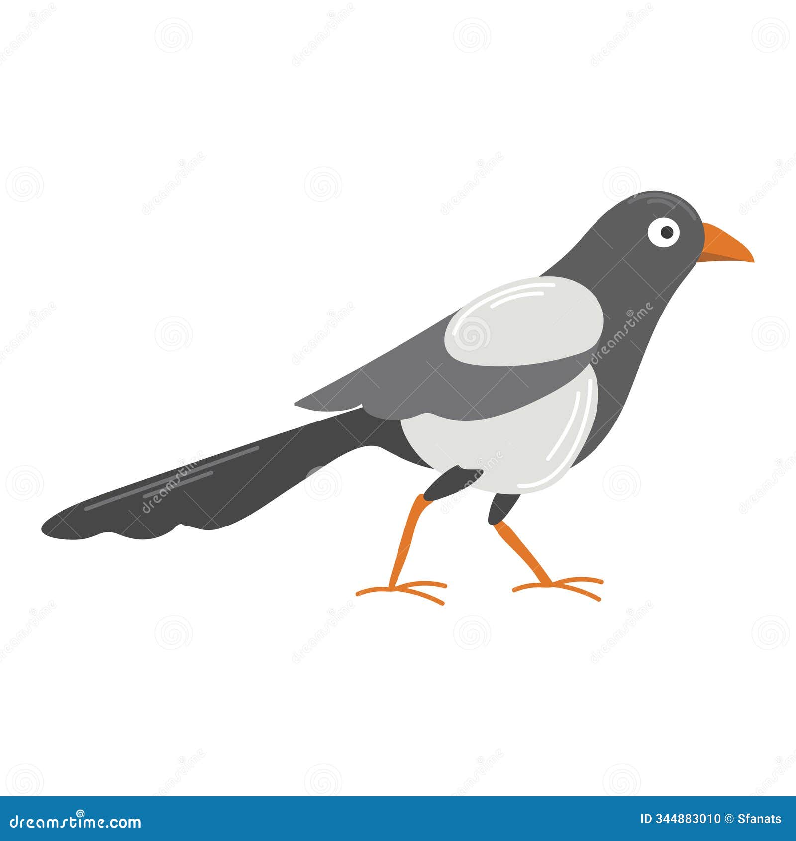 magpie icon clipart logtotype  