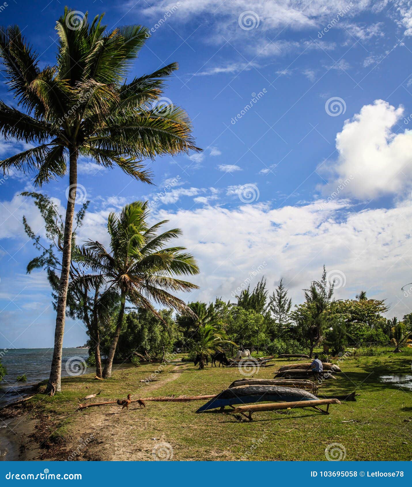 pirogues by the sea, foulpointe, toamasina ii, madagascar