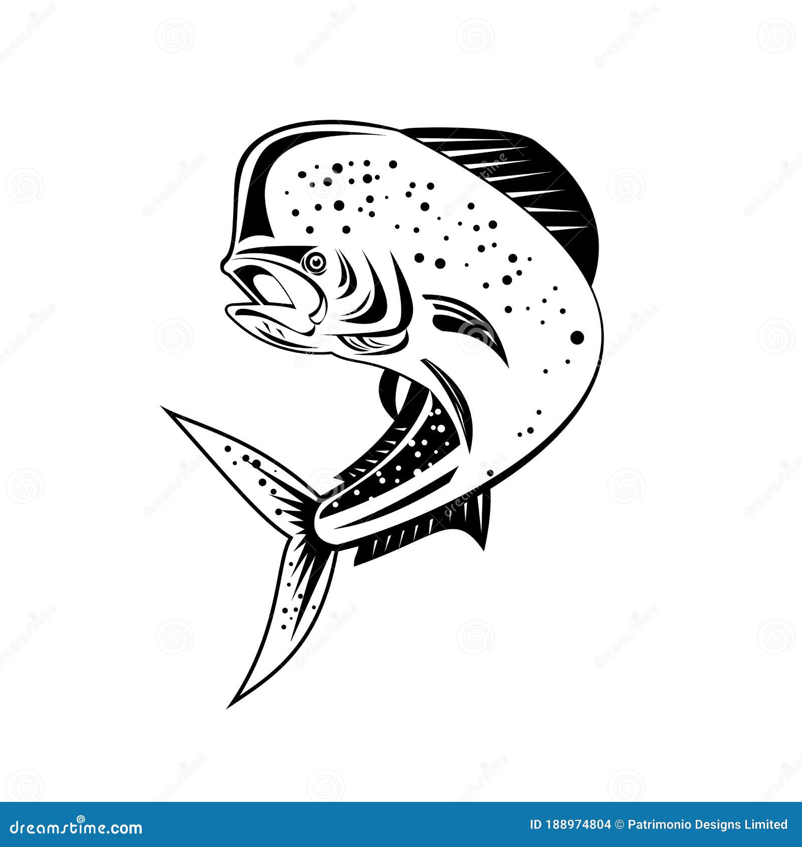 Mahi-Mahi Dorado Dolphin Fish Drawing Cartoon Vector | CartoonDealer