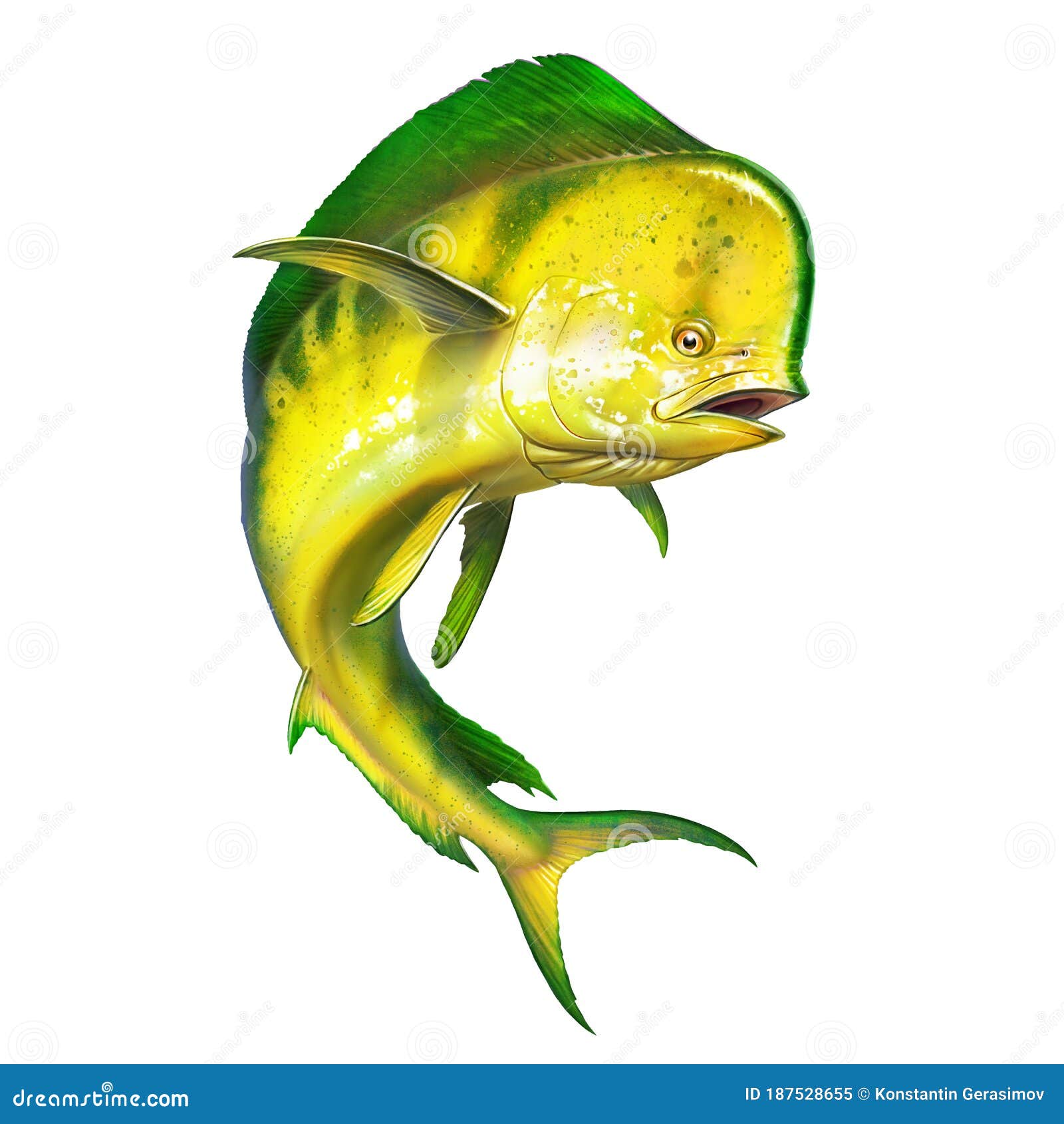 My Image 23