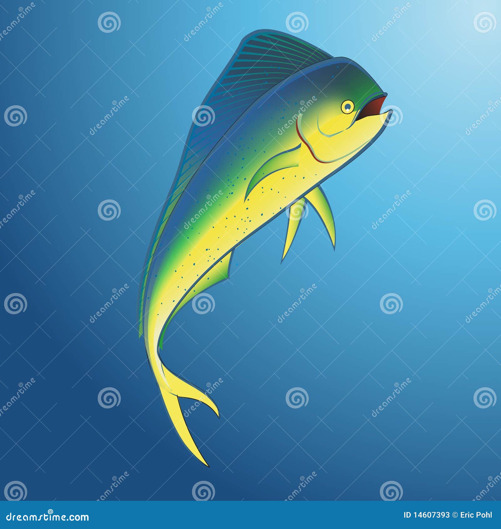 Mahi Mahi Underwater stock vector. Illustration of mahi 14607393