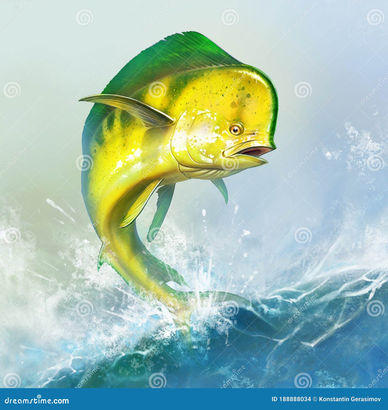 My Image 27