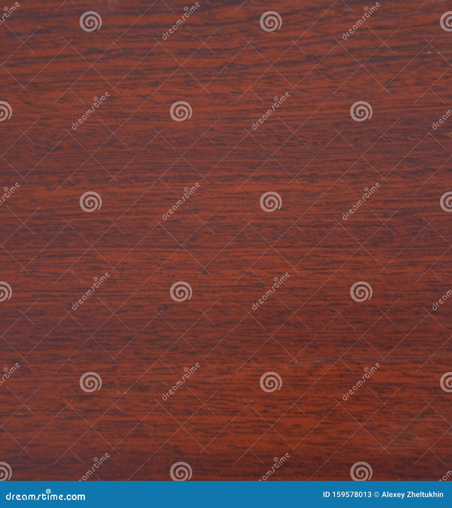 mahogany, natural drawing of wood texture on a slice closeup