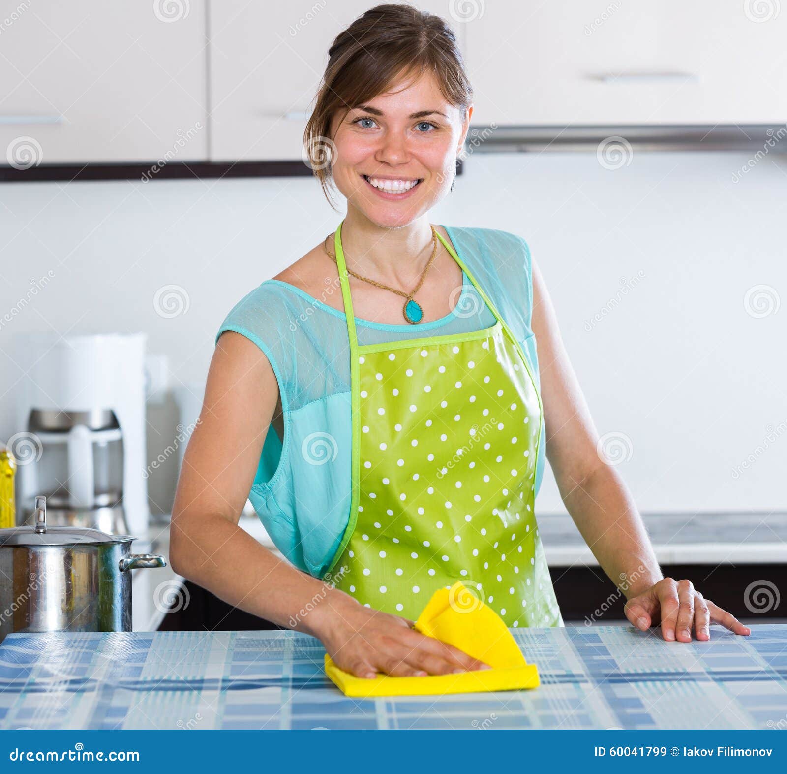 Maid Doing Professional Cleanup Stock Image Image of european