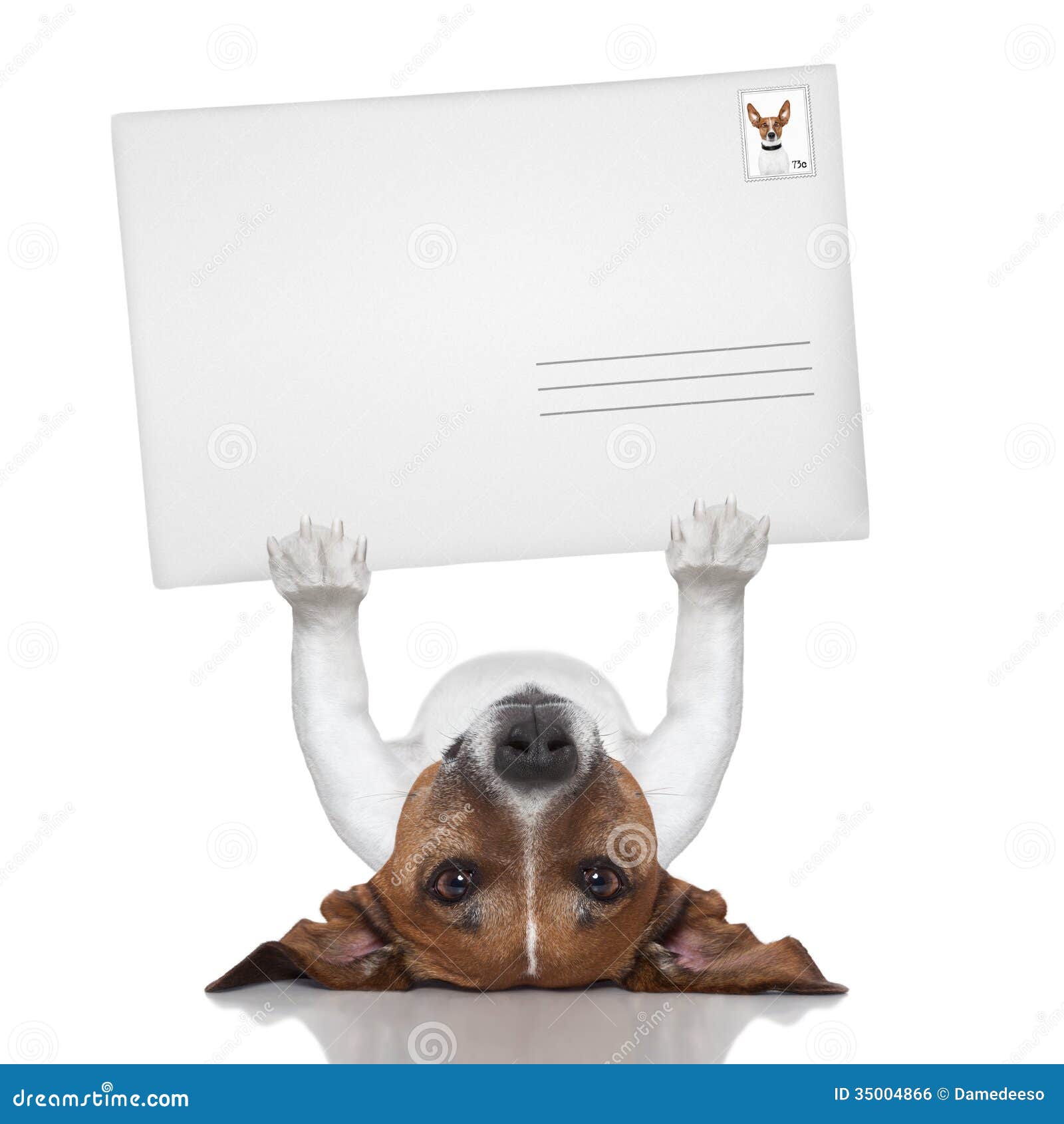 Mail Dog Royalty Free Stock Image - Image: 35004866
