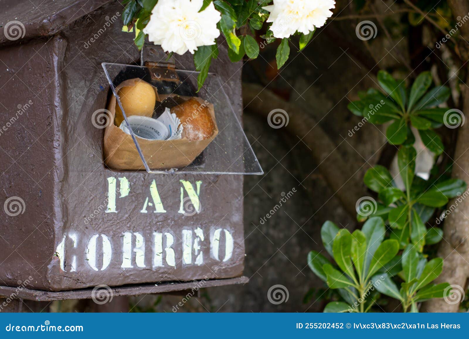 A Mailbox with Fresh Bread and Newspaper Inside Stock Photo Image of inside, newsprint 255202452