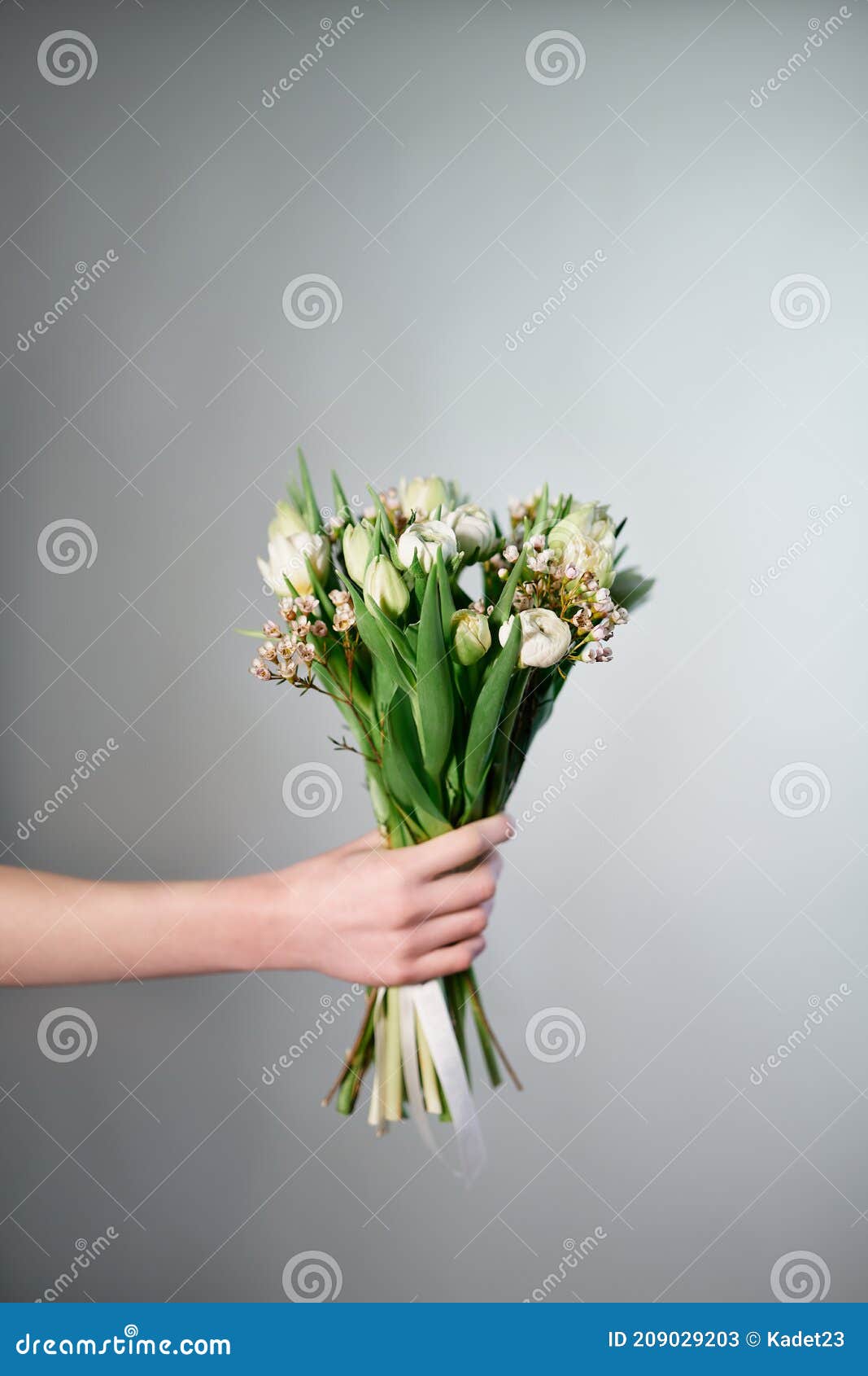 Main De Femme Avec Bouquet De Fleurs De Tulipe Blanche Image stock - Image  du beau, romantique: 209029203