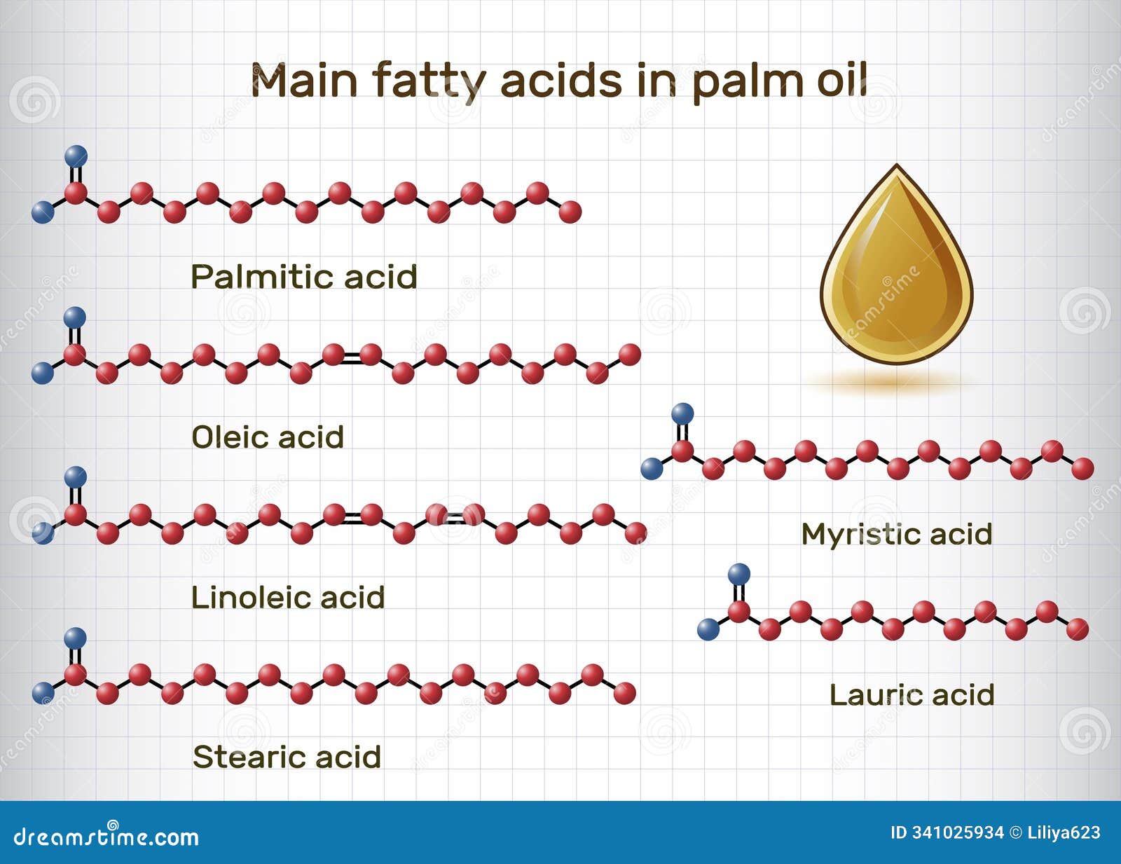 main fatty acids in palm oil. palmitic, stearic, oleic, linoleic, myristic, lauric acids molecule.  