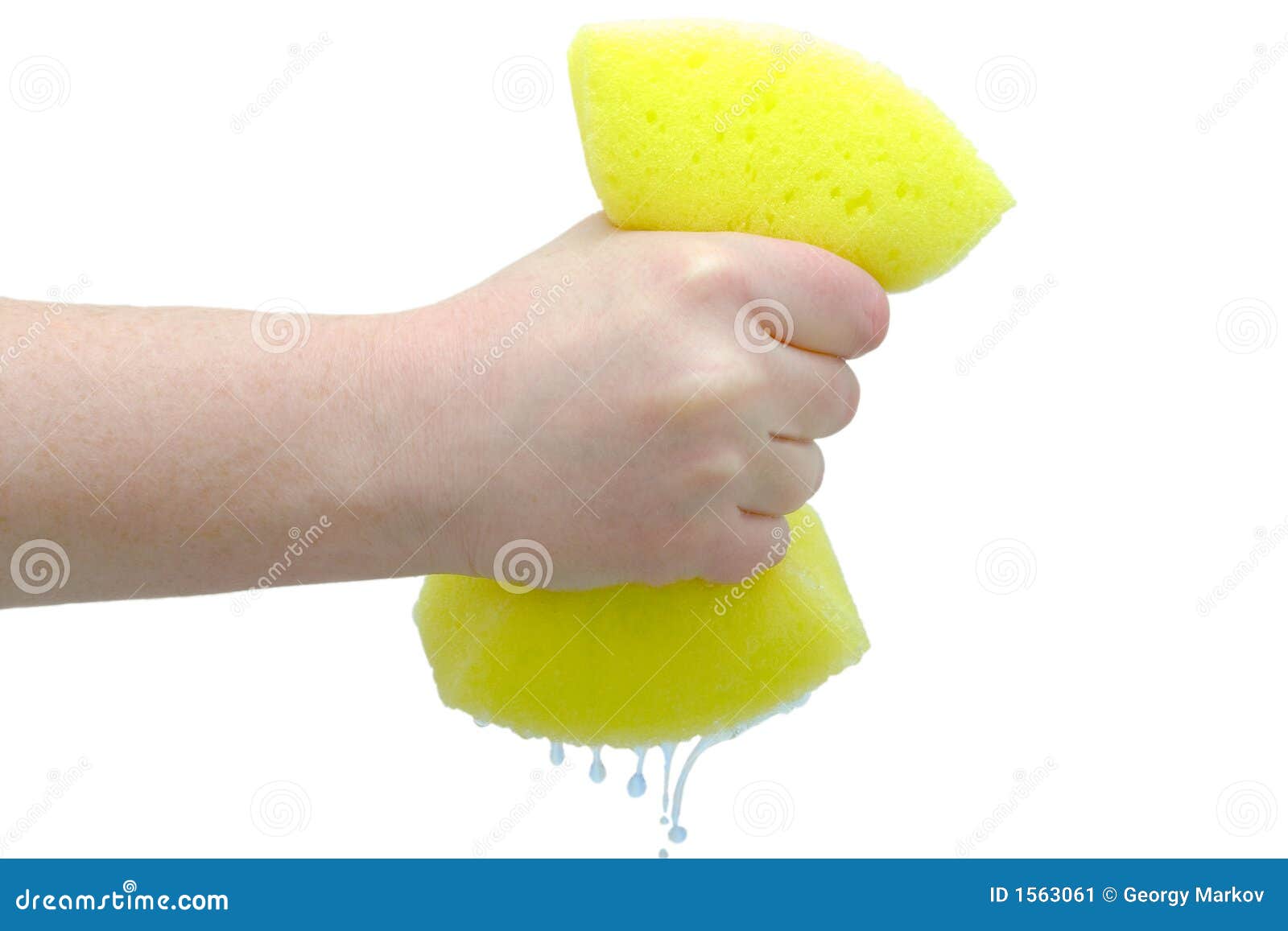 Main Serrant L'égouttement Hors De L'éponge Image stock Image du