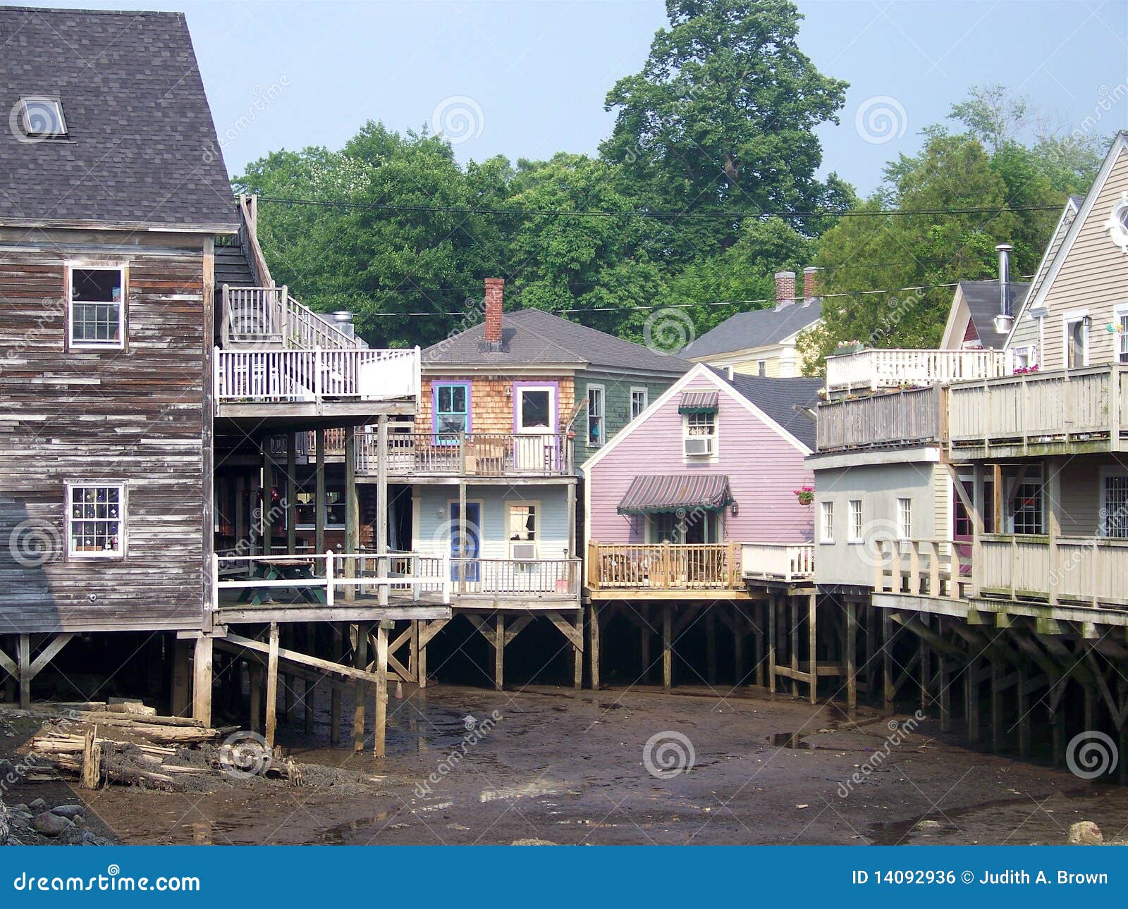 Maine while tide is out stock photo. Image of sunshine 14092936