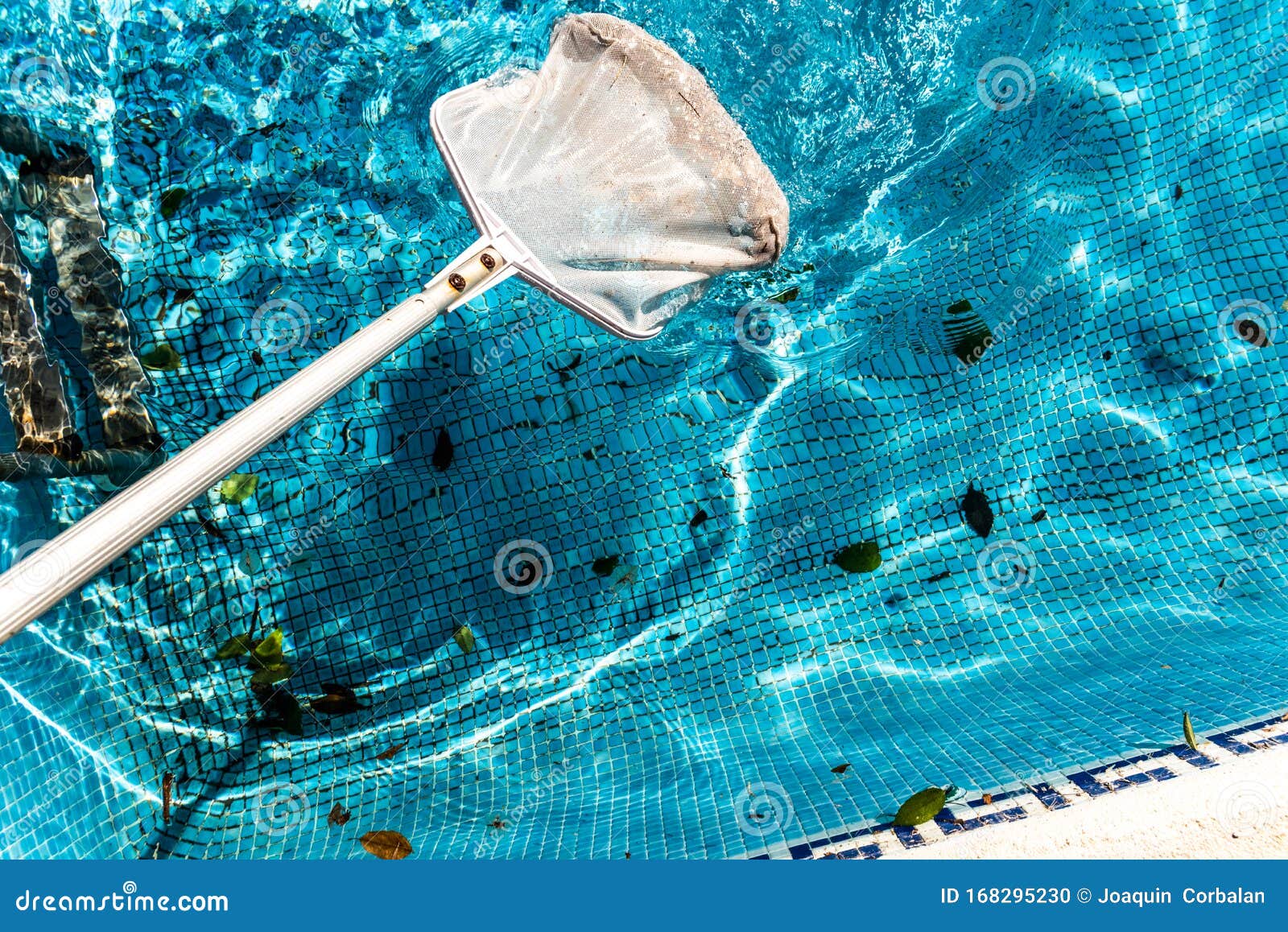 Maintenance Man Using a Pool Net Leaf Skimmer Rake in Summer To Leave