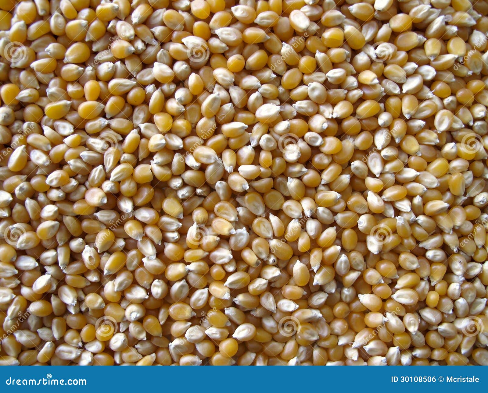 Mais popcorn stock photo. Image of yellow, mais, cereal 30108506