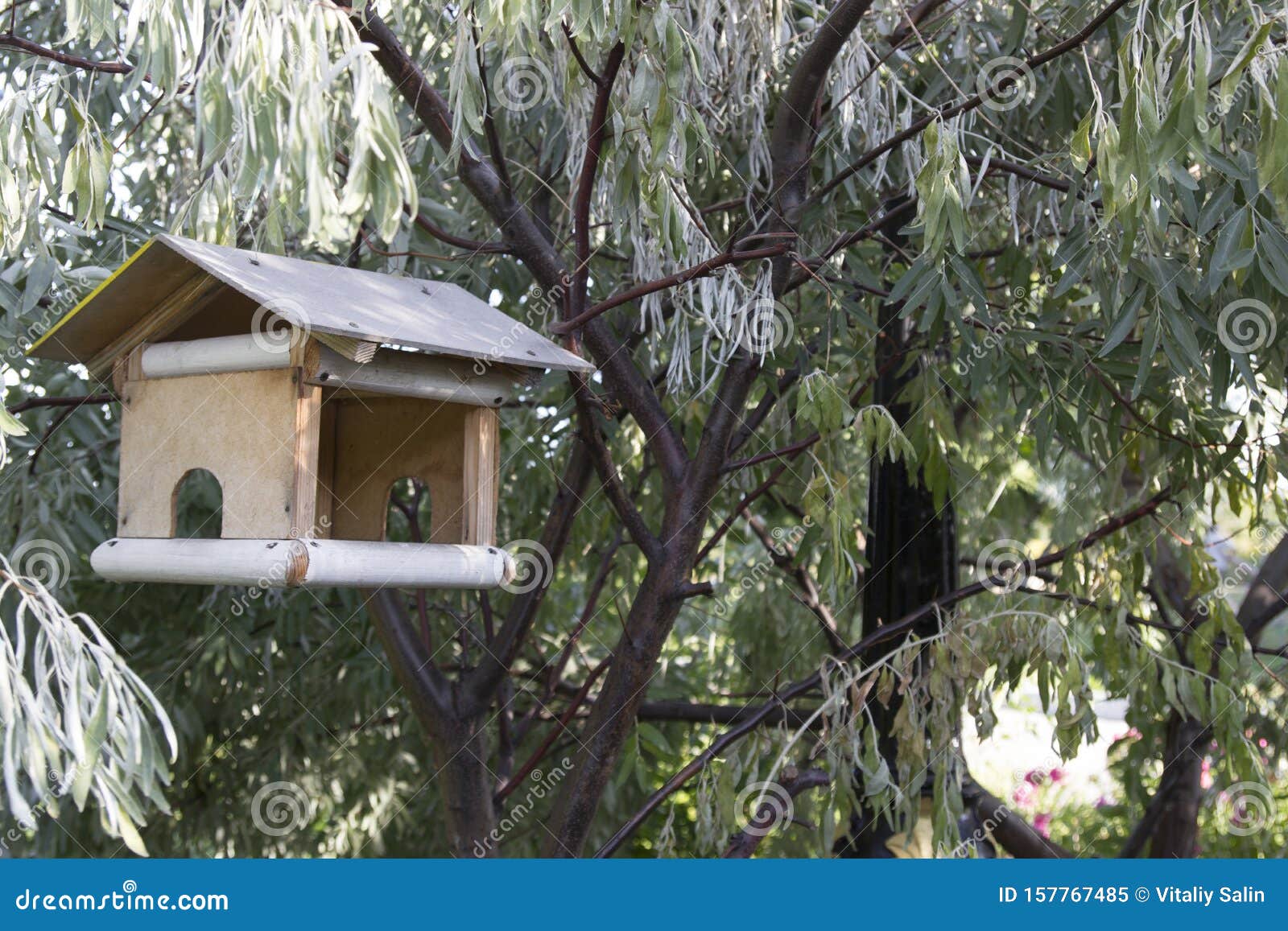 Maison D'oiseau Sur Un Arbre Dans Le Parc Forestier, Refuge Pour Les Oiseaux  En Bois Manuel Prendre Soin Des Oiseaux Image stock - Image du toit,  normal: 157767485