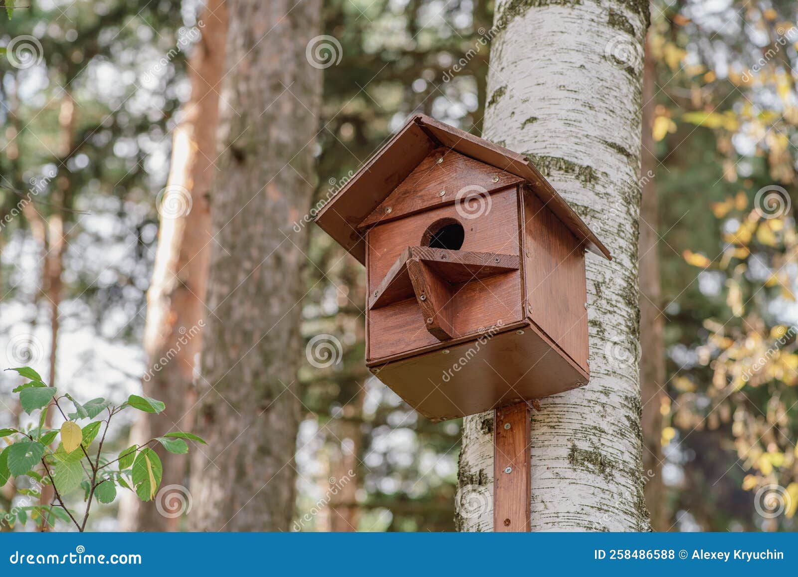 Maison D'oiseau En Bois Maison D'oiseau Maison D'oiseau Maison D'oiseau  Maison D'oiseau Artificielle