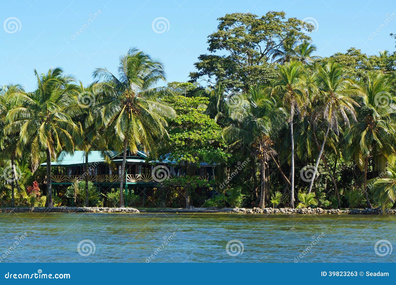 maison de bord de mer avec le jardin tropical 39823263