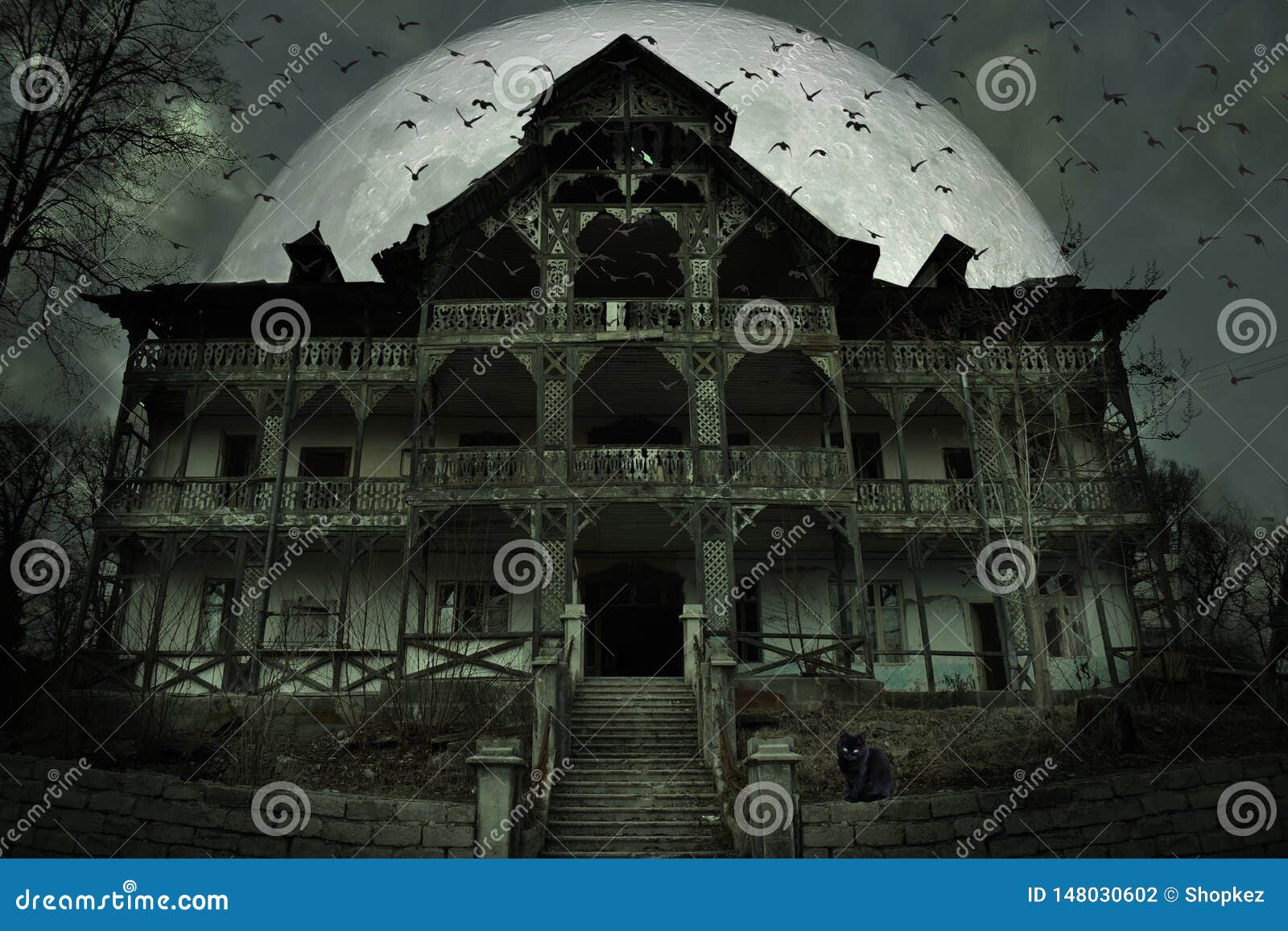 Maison Hantee Rampante Avec L Atmosphere Foncee D Horreur Un Chat Noir Beaucoup De Battes Et Grande Pleine Lune Dans La Coulisse Photo Stock Image Du Epouvantable Halloween
