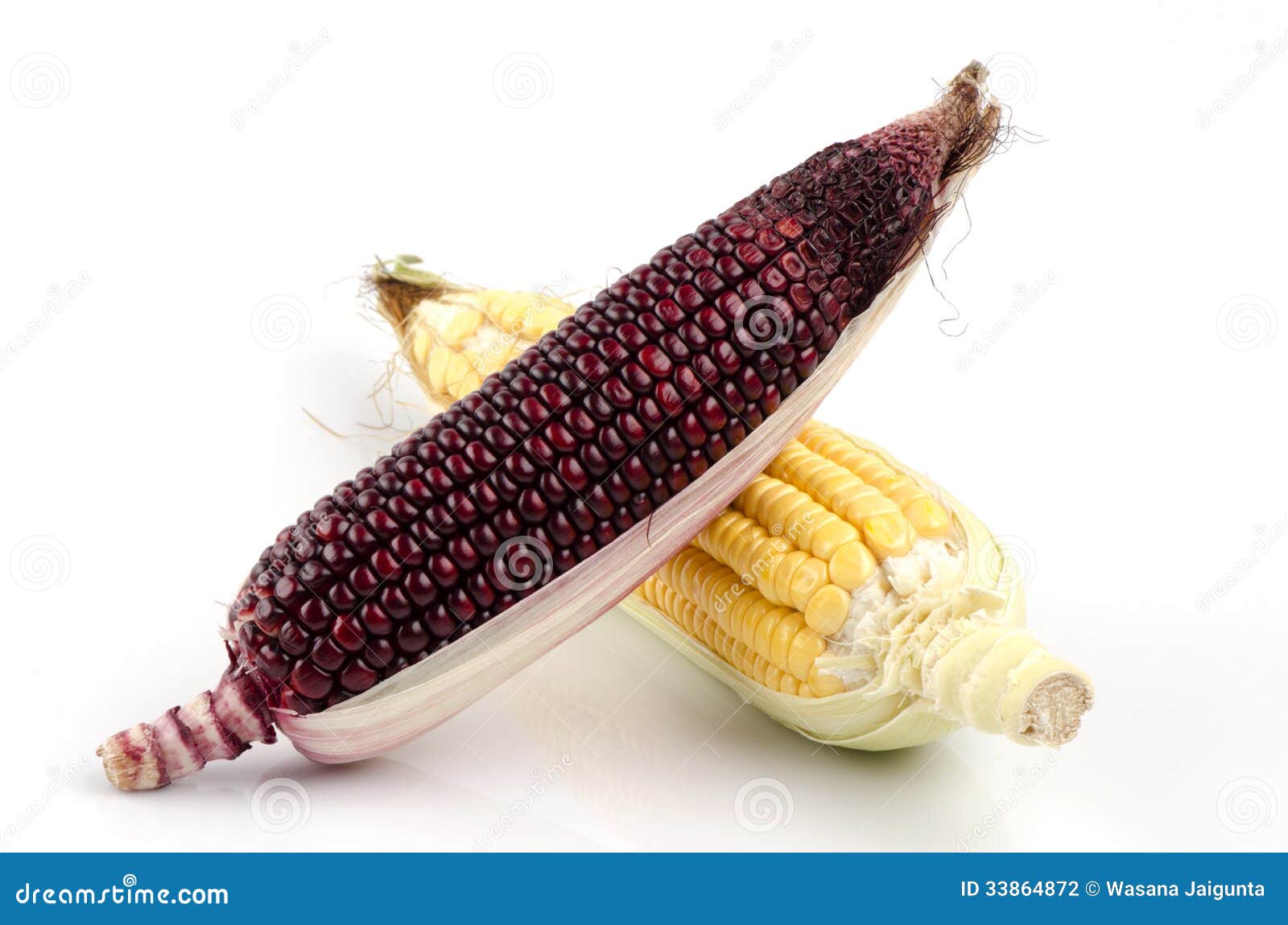 maiz morado and corn grains are beneficial to the body.